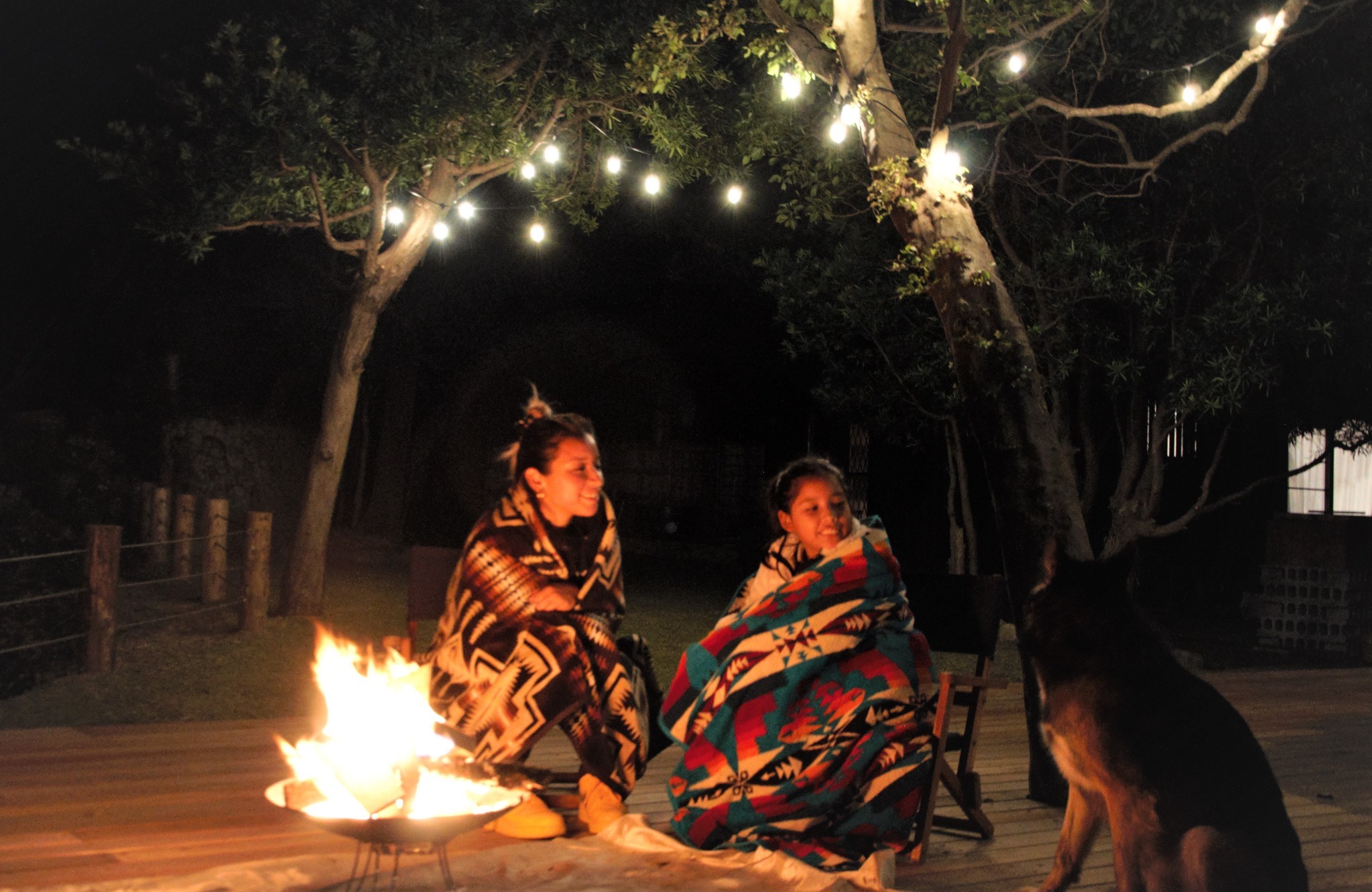ペットも一緒に楽しめます(ペット料金あり)