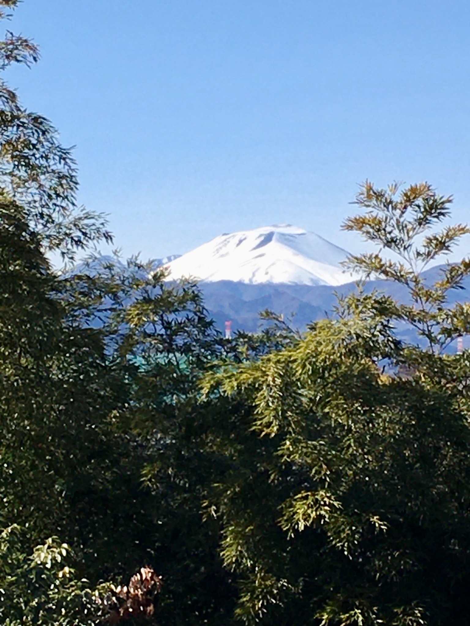 浅間山の景色:庭・テラス・宿内からでも