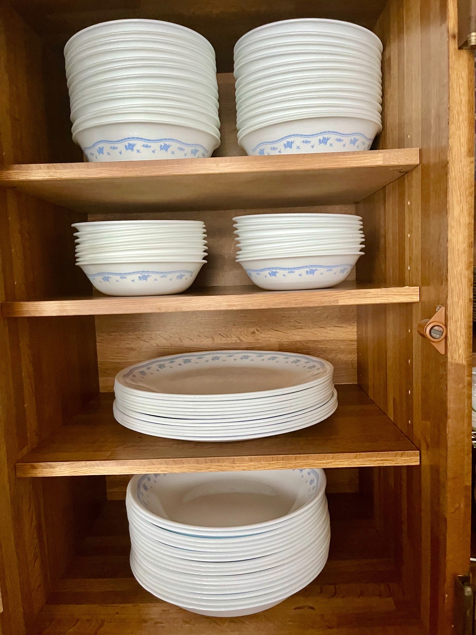 豊富なお皿コレックション