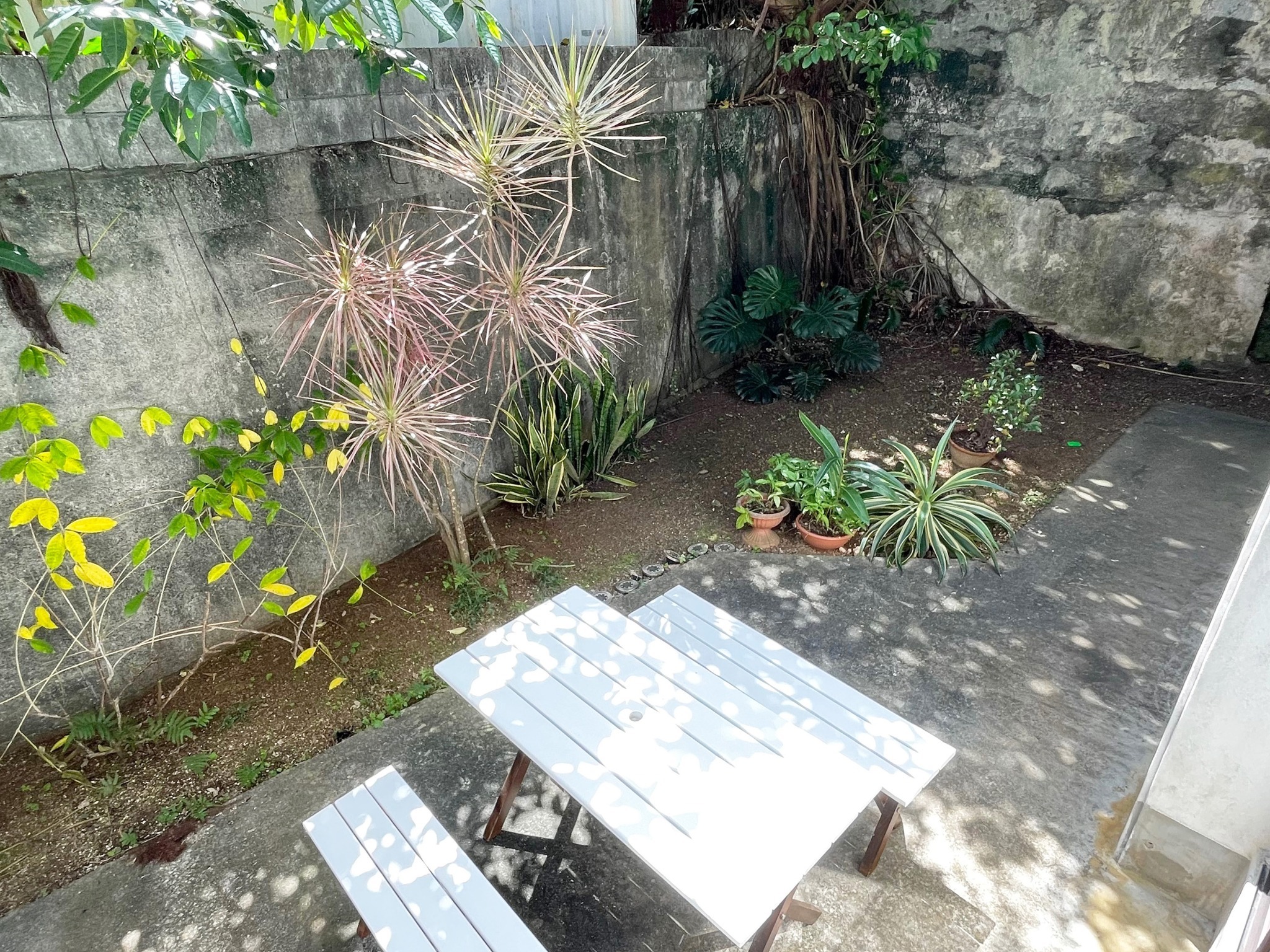 ・【中庭】こもれびのもと、のんびり寛げるスペースです