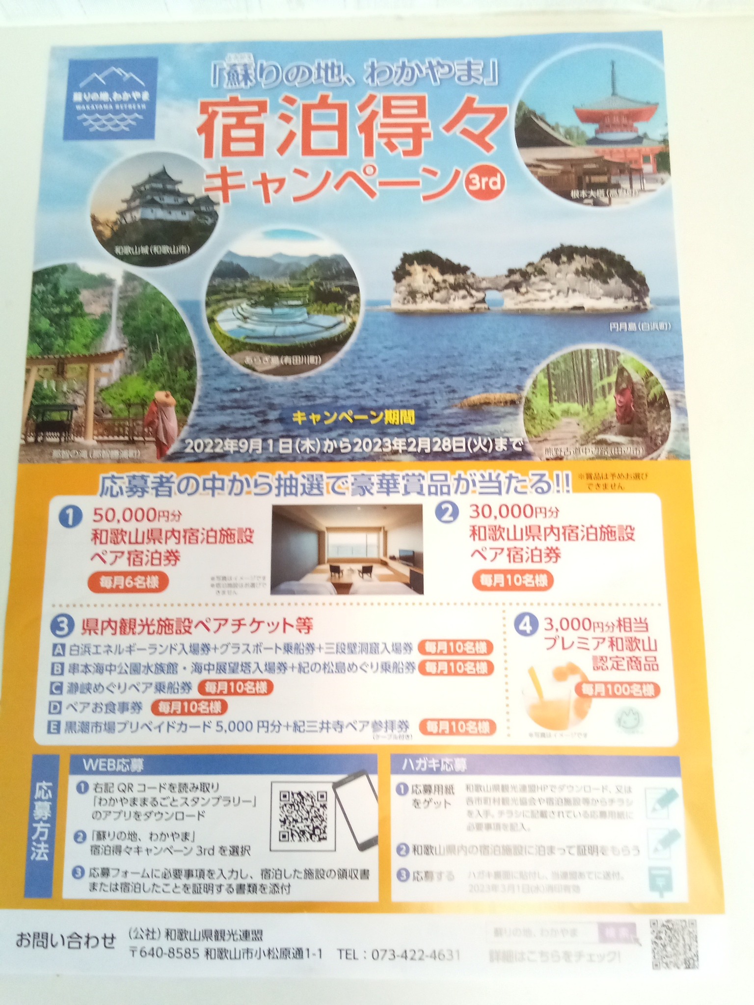 新江ノ島水族館　チケット　2名分えのすい4 30まで有効