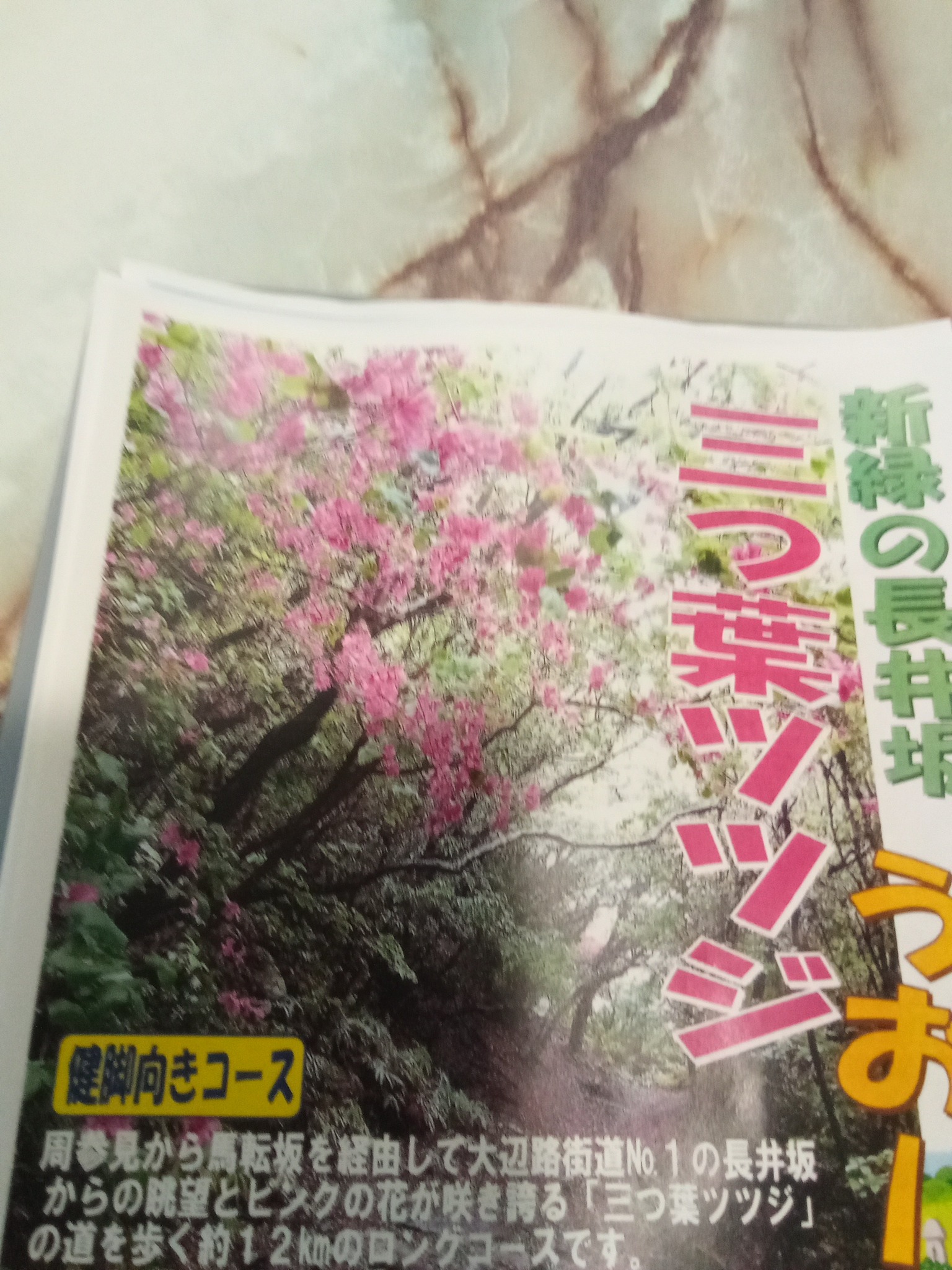 世界遺産熊野古道大辺路 長井坂へは一駅先の見老津駅下車。ガイドは1万円。ご予約ご相談下さい。