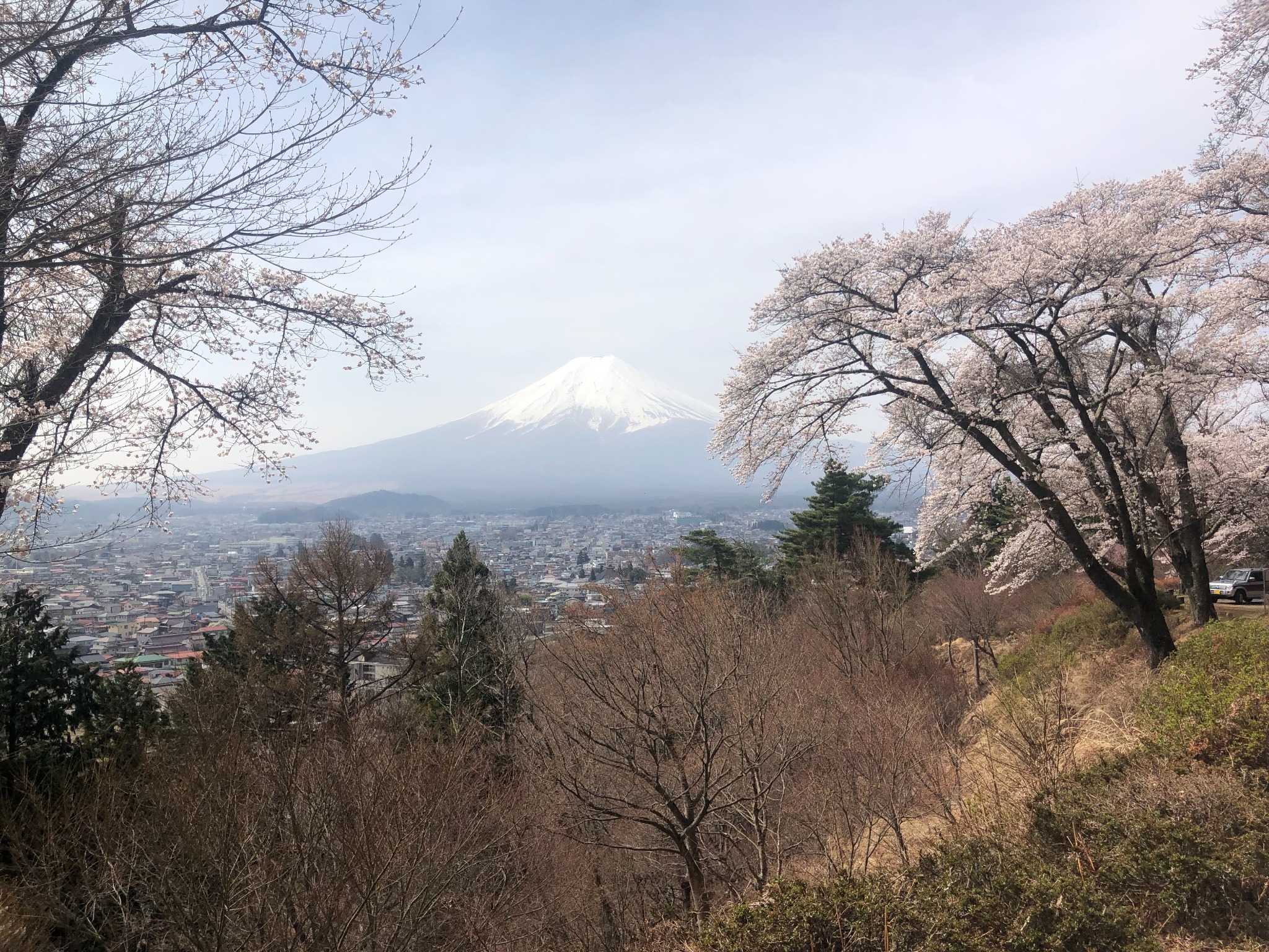 近くの富士見高徳公園の富士山ビュー