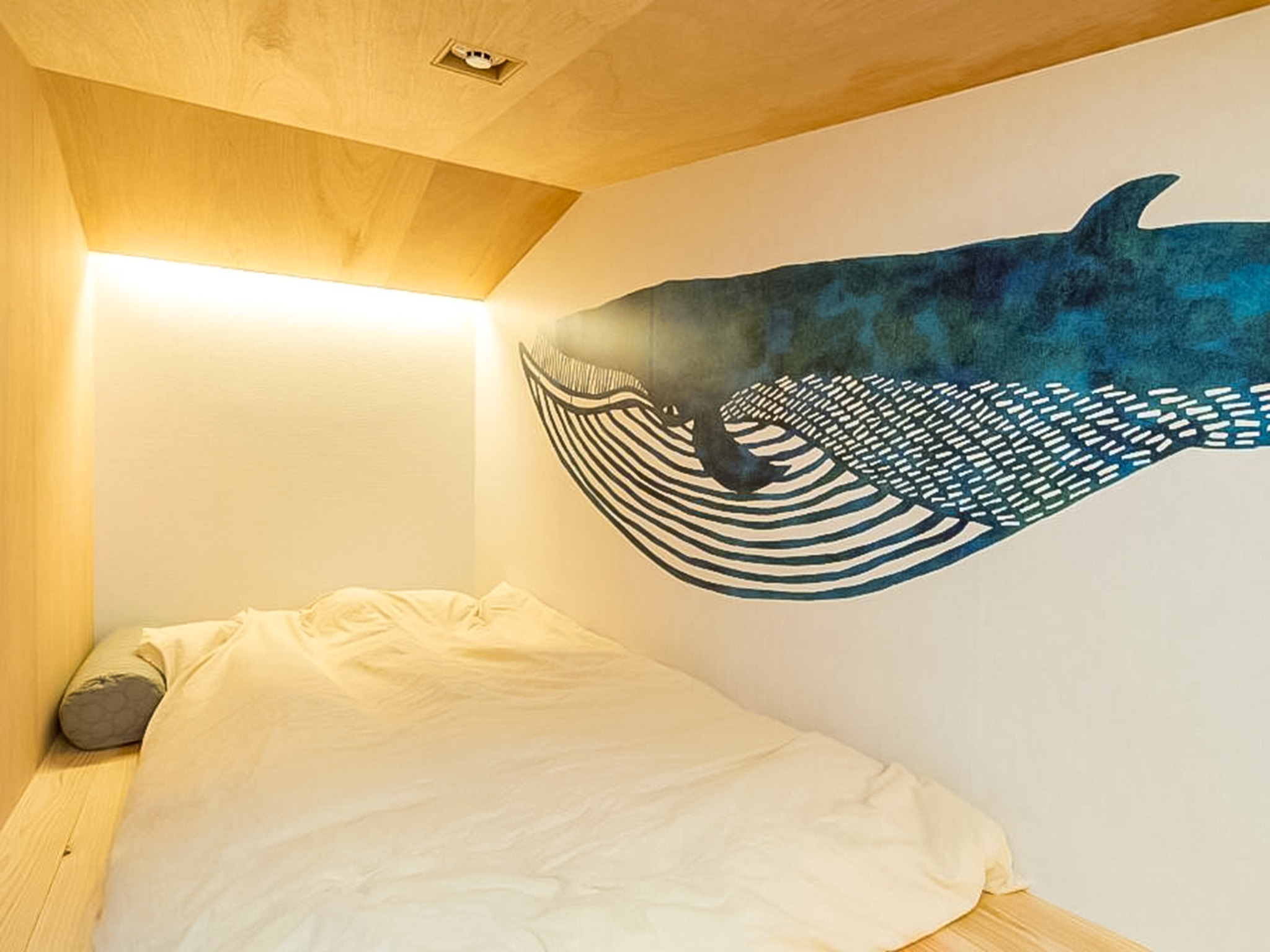 ・【カプセルルーム一例】天井高が約120cmと低くなっています