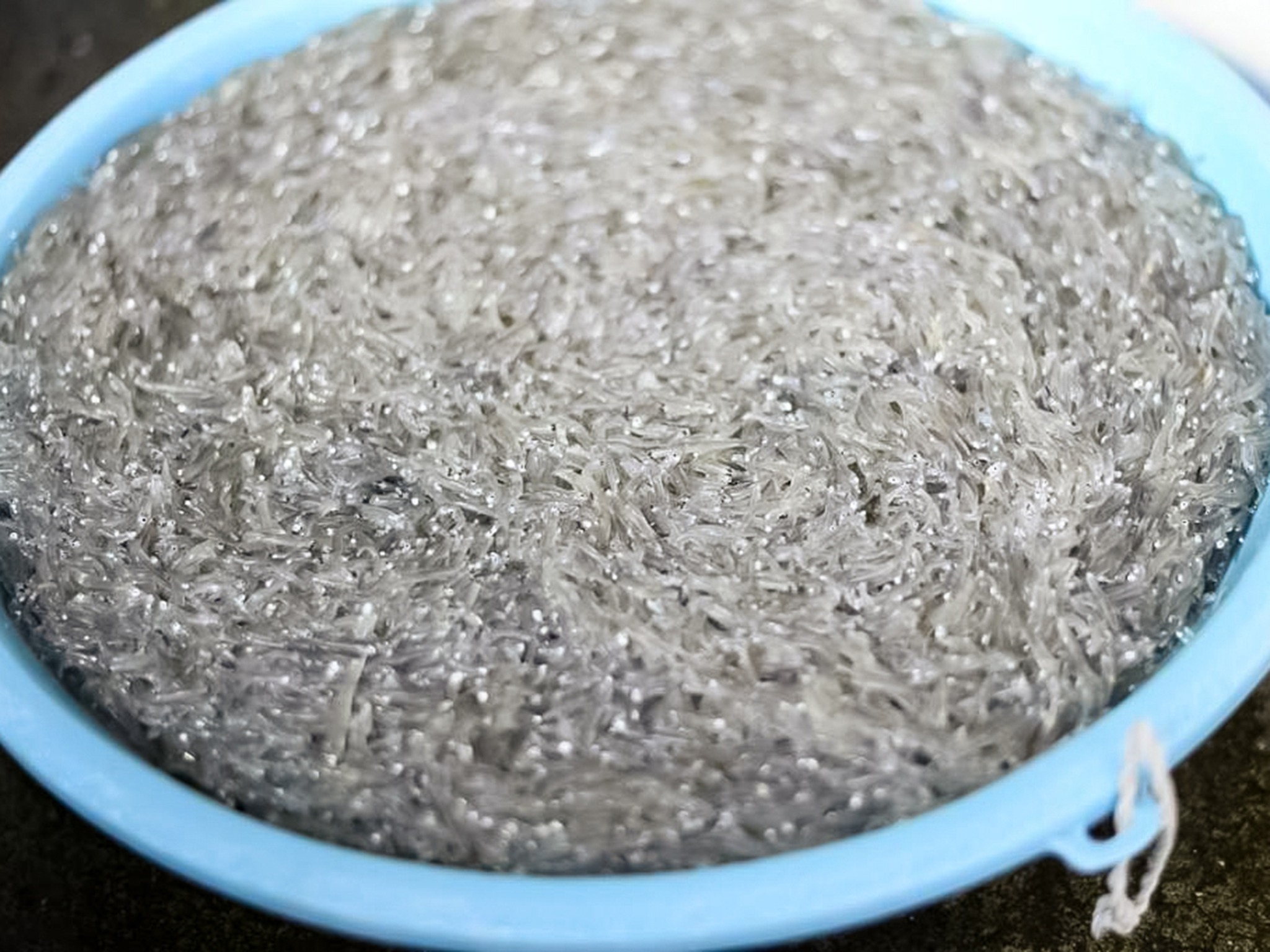 ・【海の幸】漁師町ならではの旬の味覚に出会えるかも