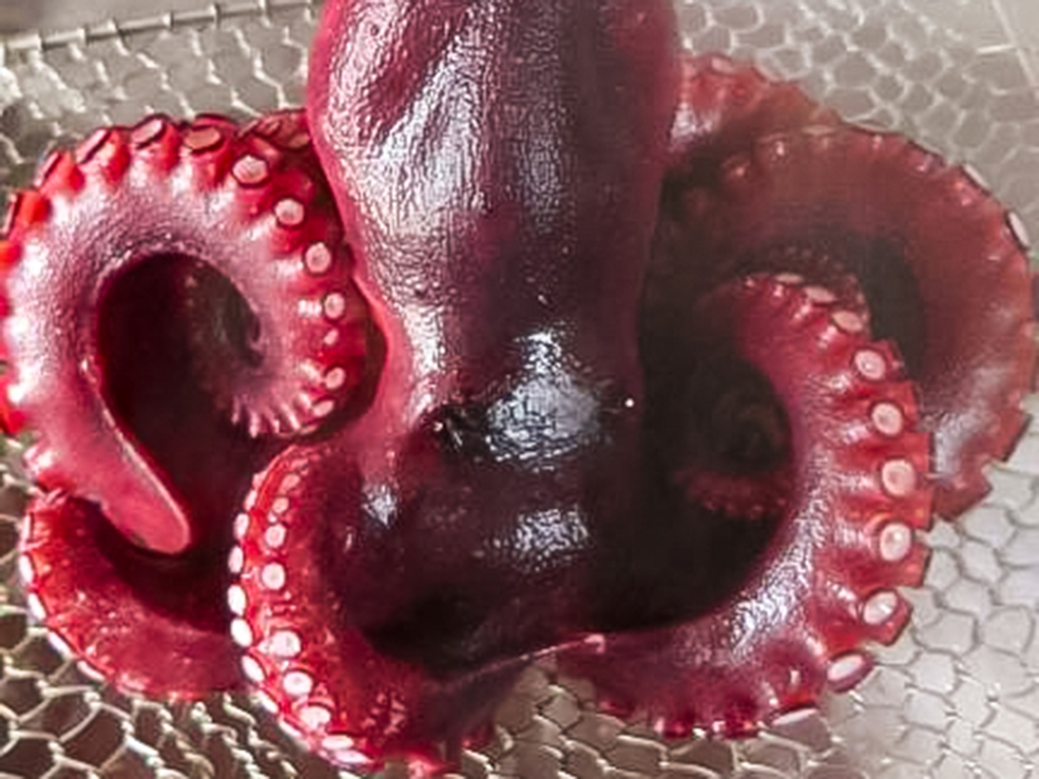 ・【海の幸】ぷりっぷりで噛めば噛むほど味がでる地ダコ