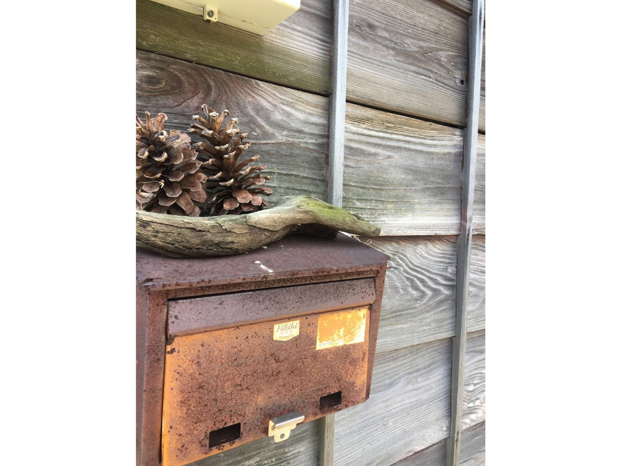 FOLK Koshigoe のnull