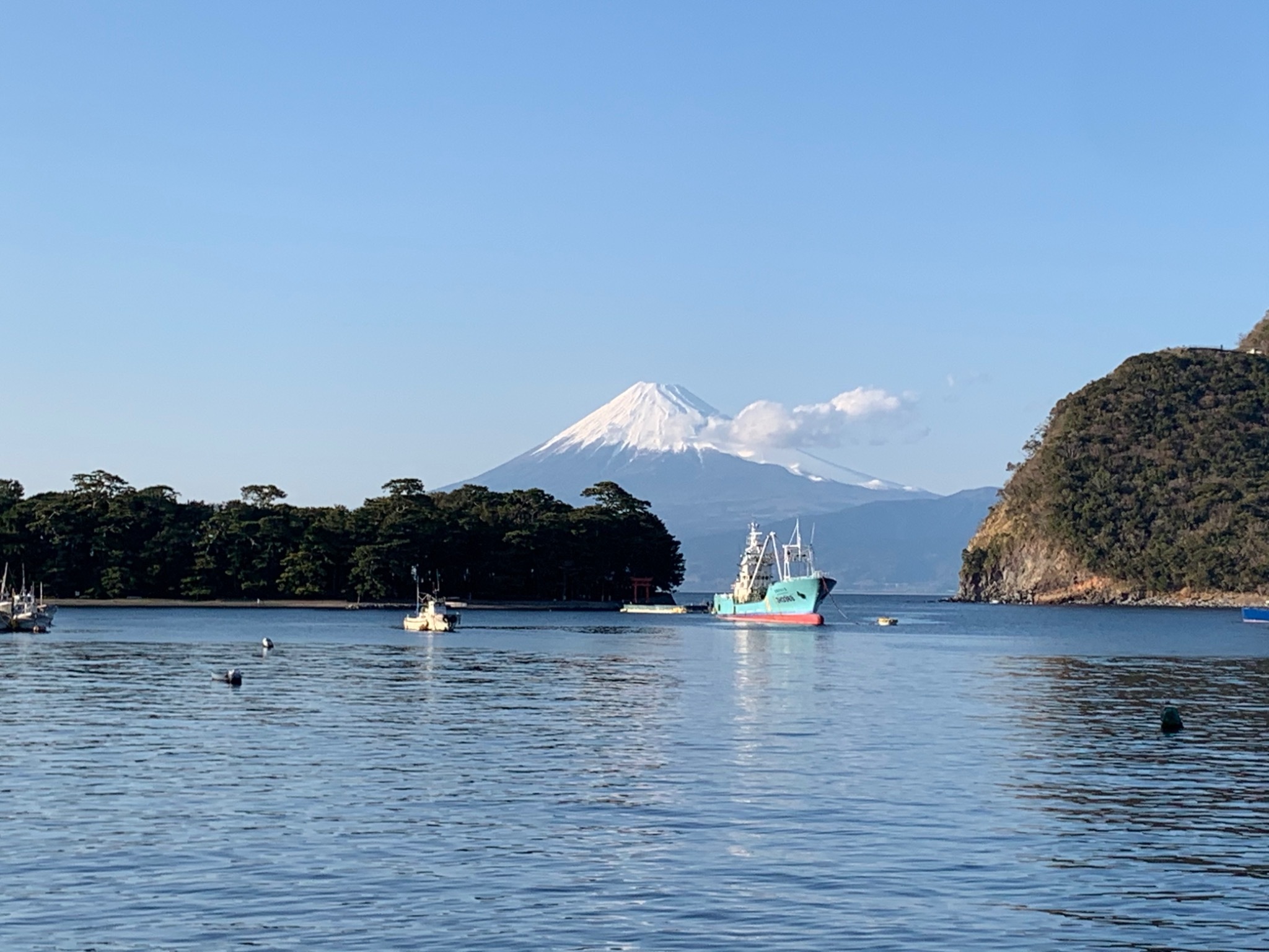 戸田湾に浮かぶ漁船が風情があります。