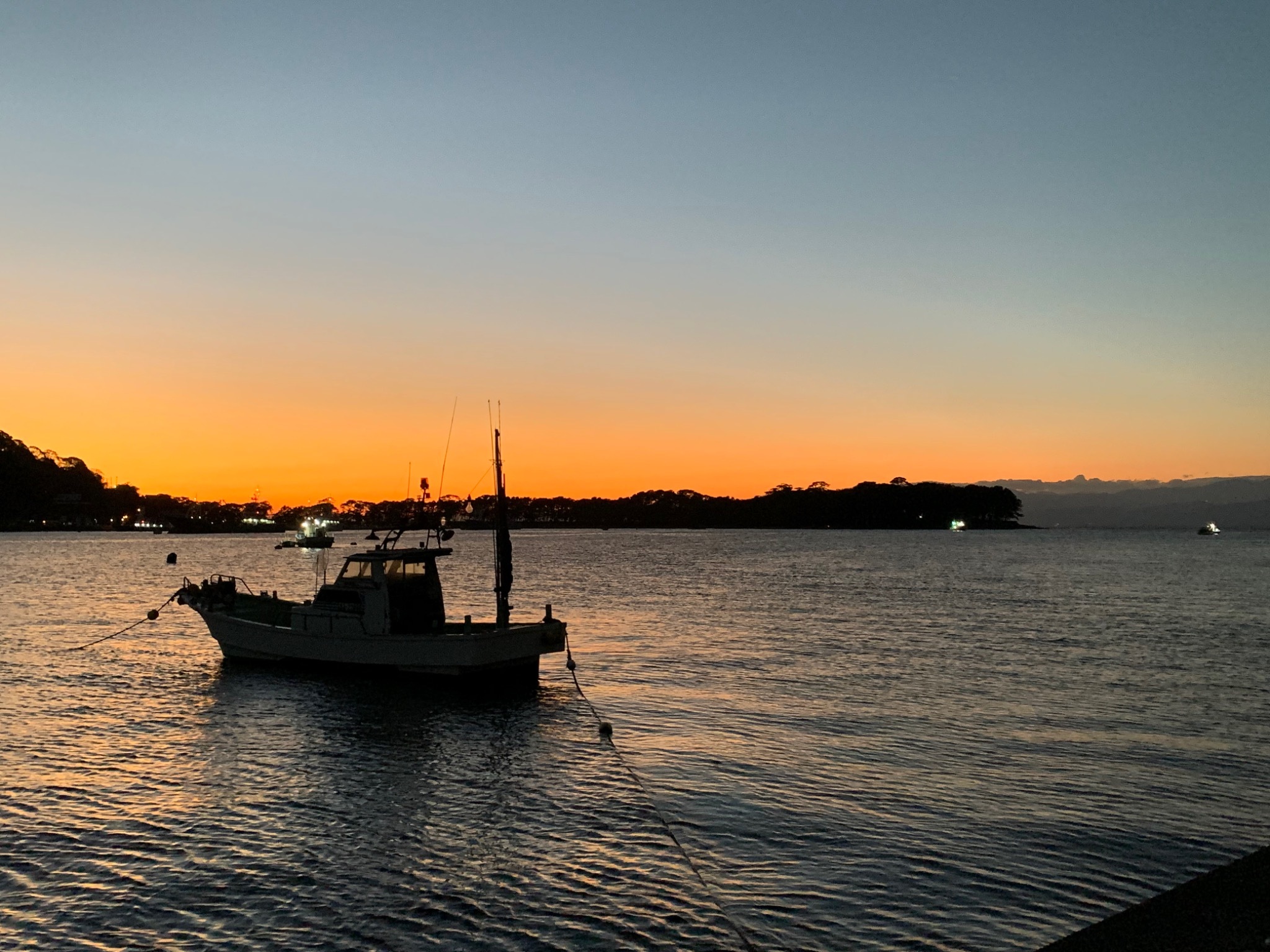 冬の夕方は夜と昼の狭間の時間がとてもきれいです。