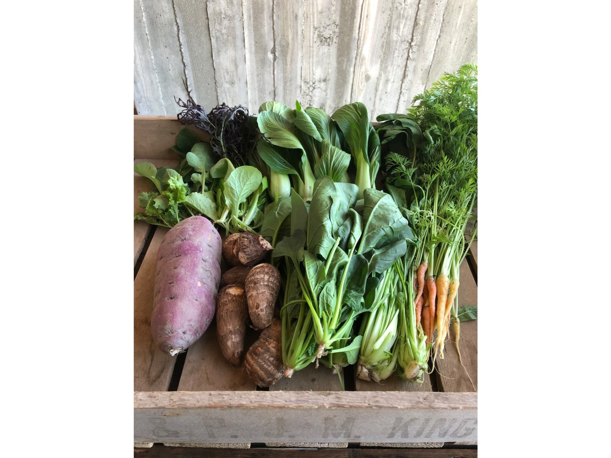 おまかせ無農薬野菜セット