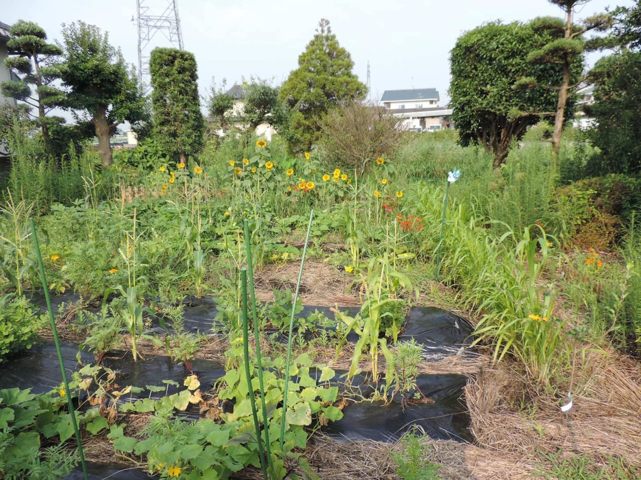 Kumamoto Farm Stay Guest Room 2F