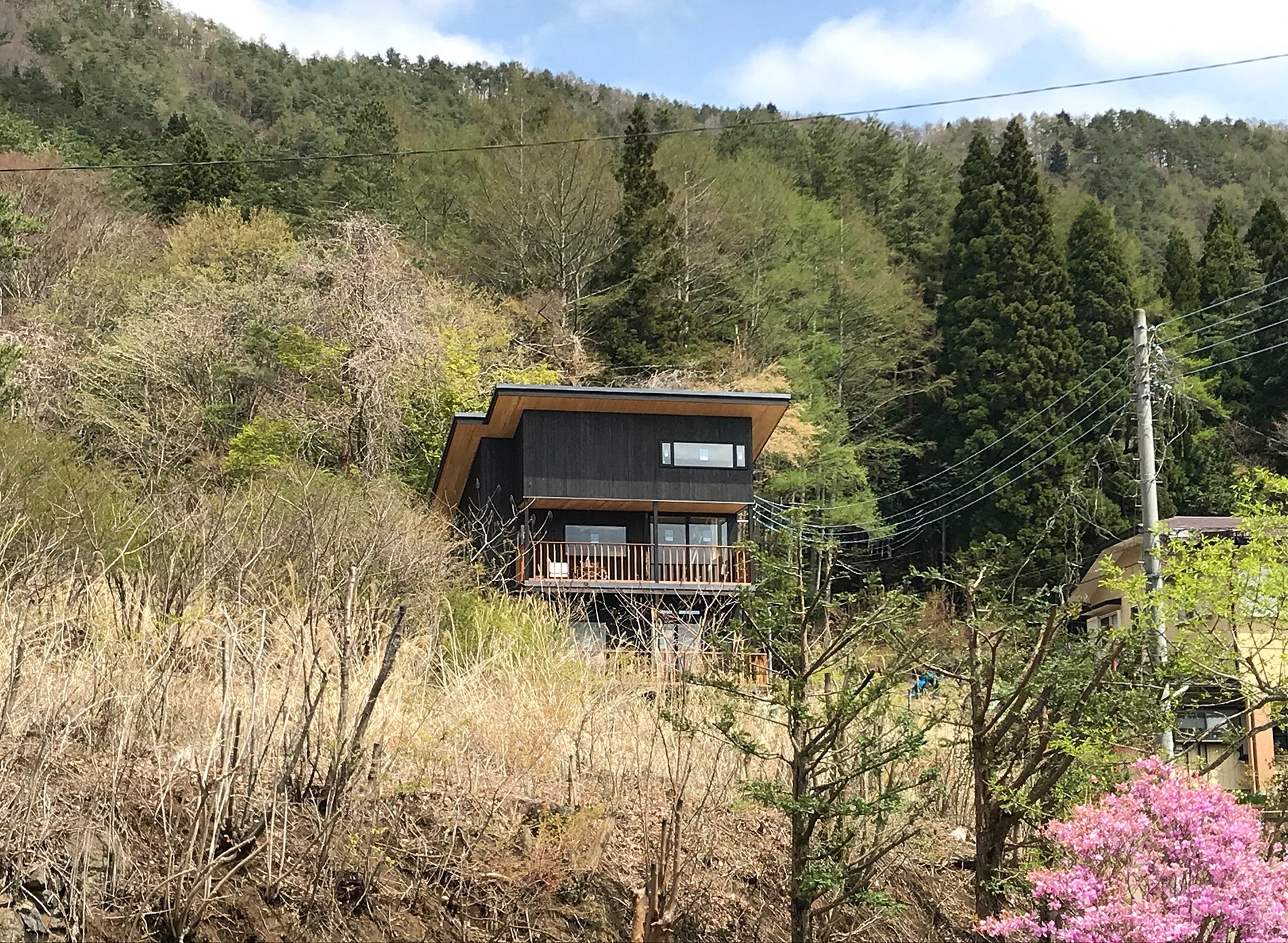 新緑の季節も美しいです。