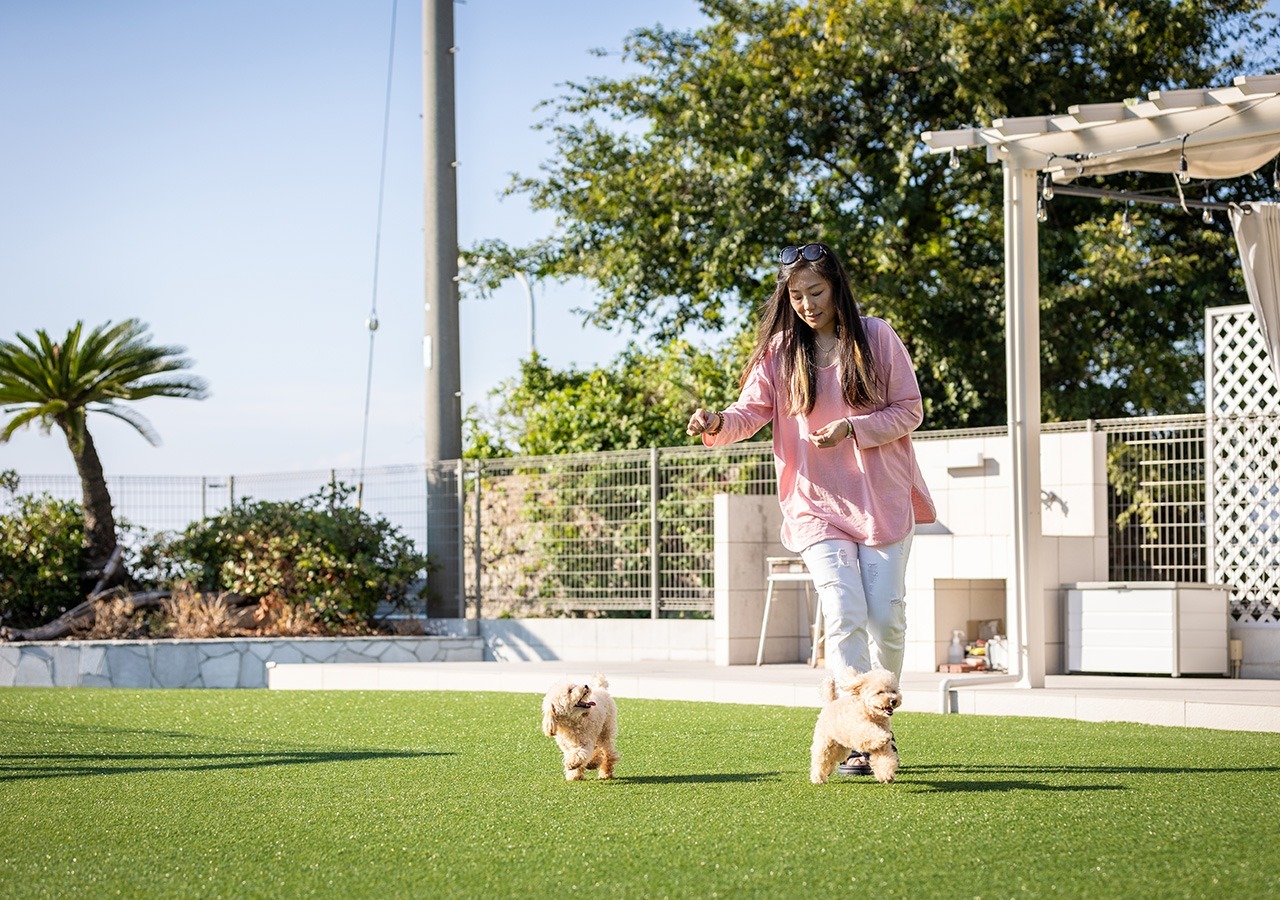 広々ドッグランで一緒に遊べます