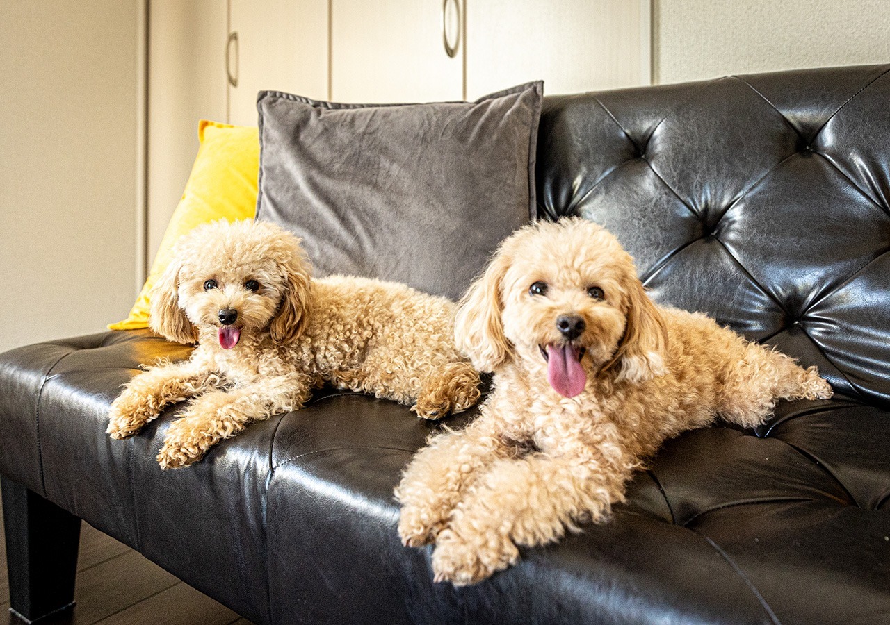 お部屋でのんびりと