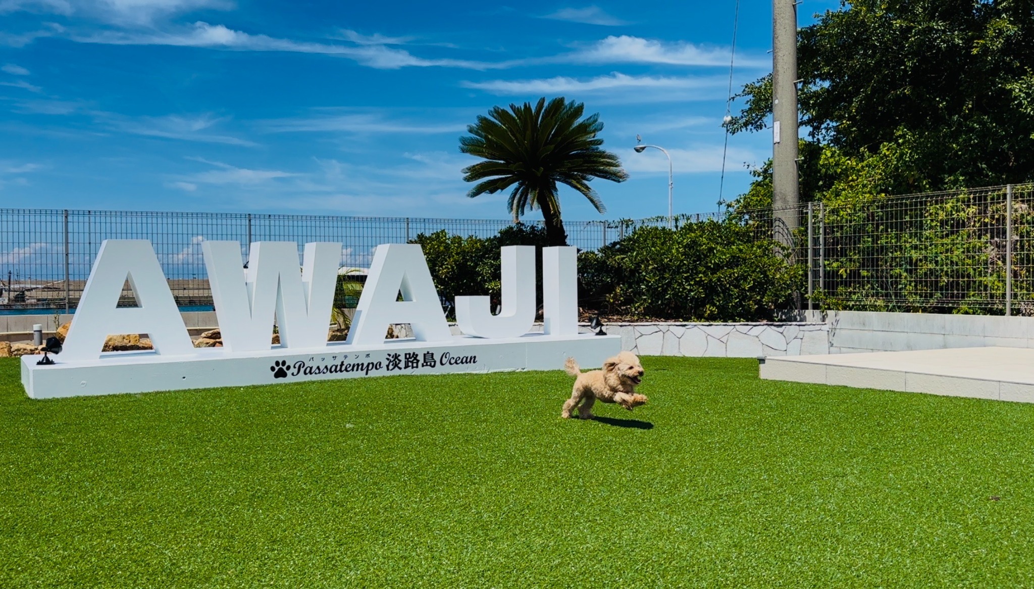 ワンちゃんも嬉しそう!!