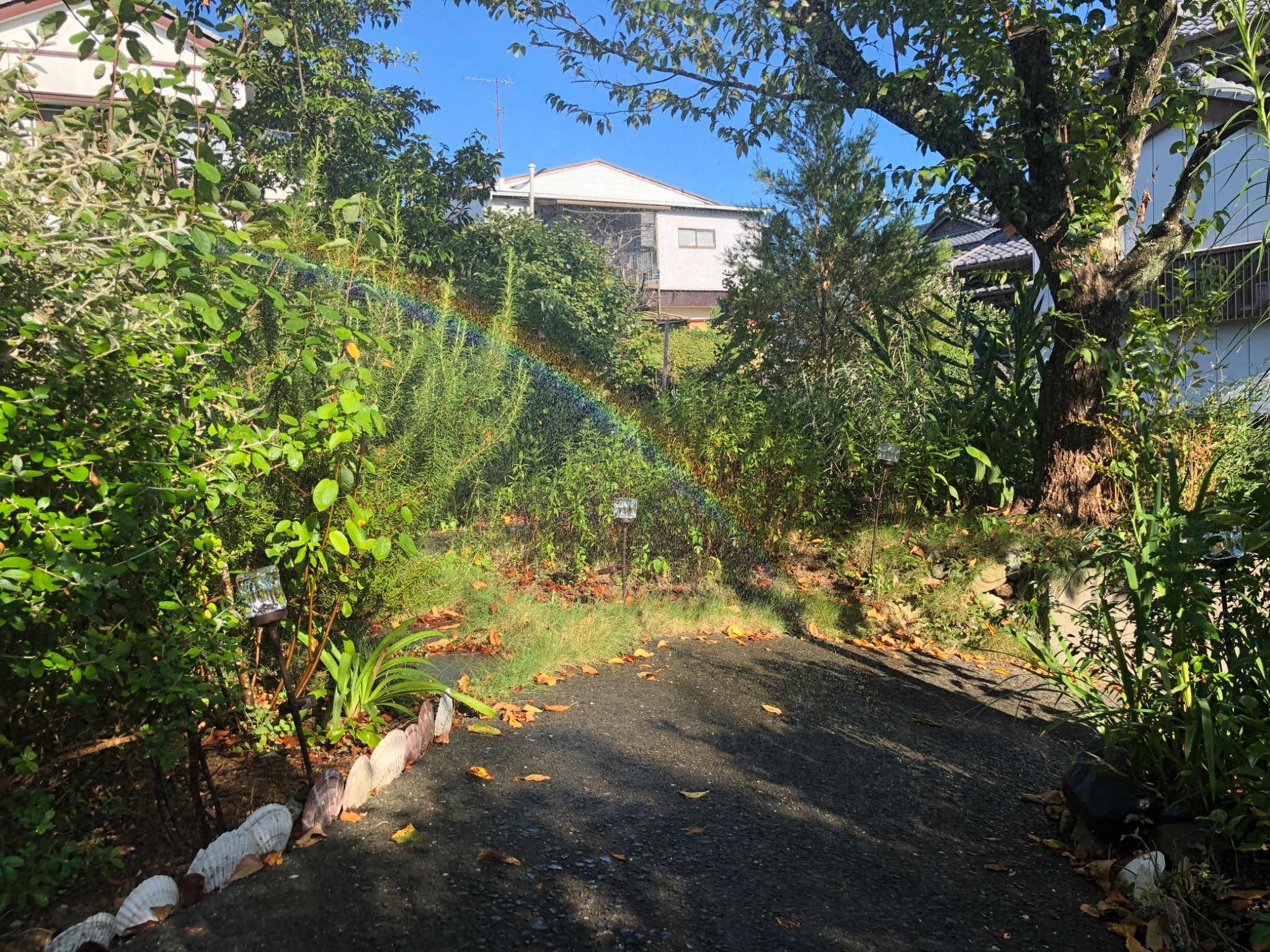 玄関前スロープの虹