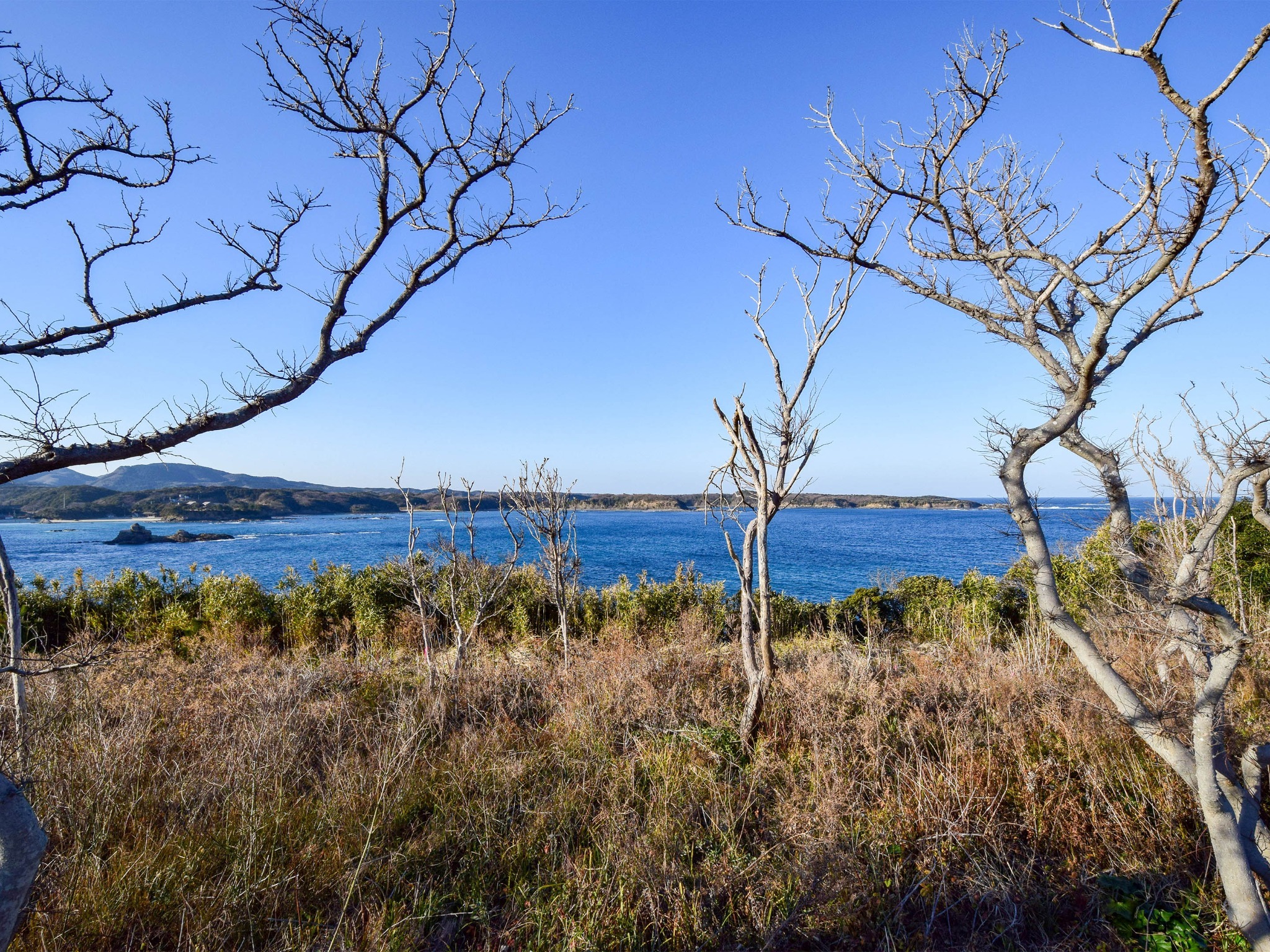 ・【殿崎公園】国定公園エリアの殿崎公園からの眺め