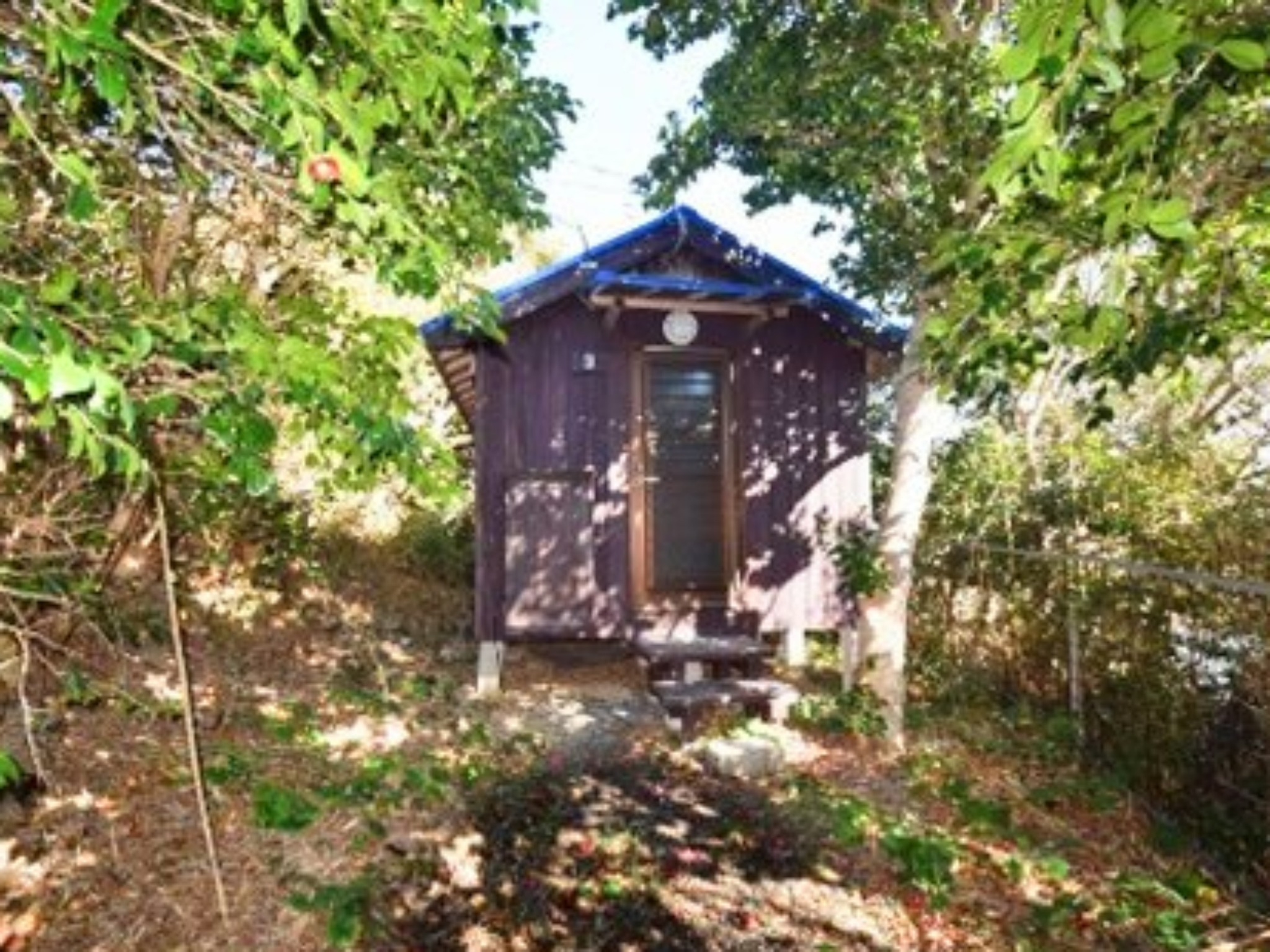 ・【バンガロー3号棟】林の中に佇むバンガロー。時期により虫たちがお邪魔する場合がございます