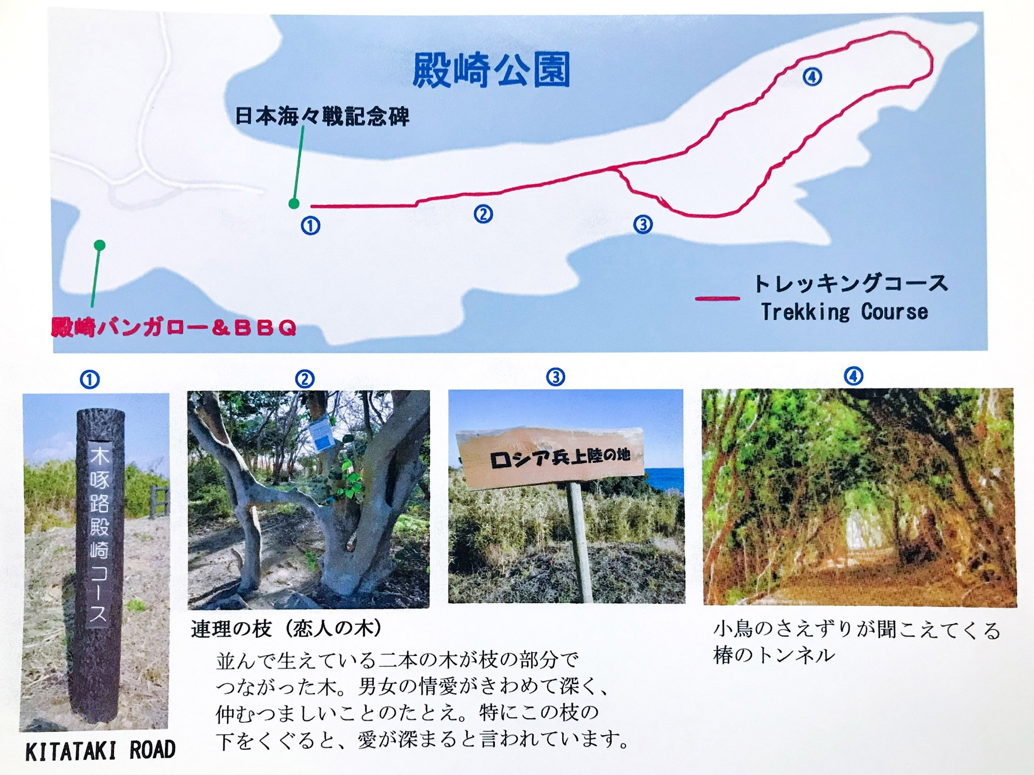 ・【マップ】殿崎公園の、見どころ沢山のトレッキングコース