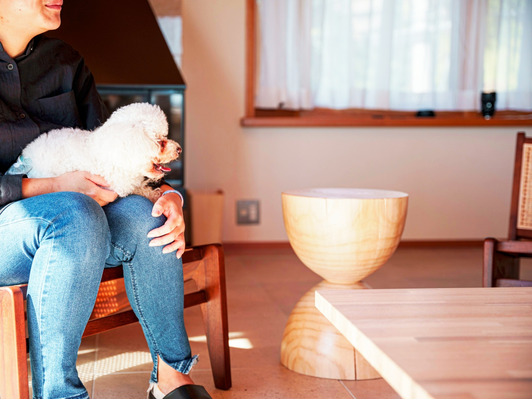 ・あたたかな木のぬくもりに包まれるリビングで、わんちゃんも一緒にくつろげます