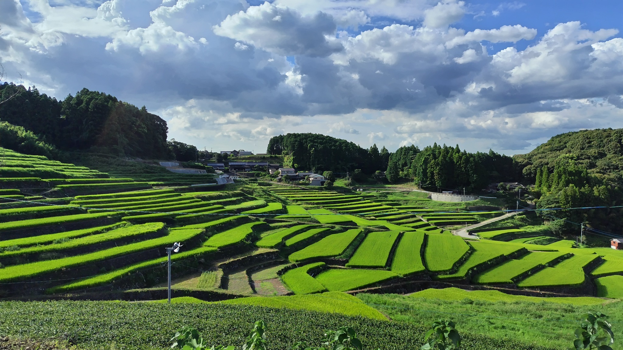 棚田に囲まれた閑静な場所です