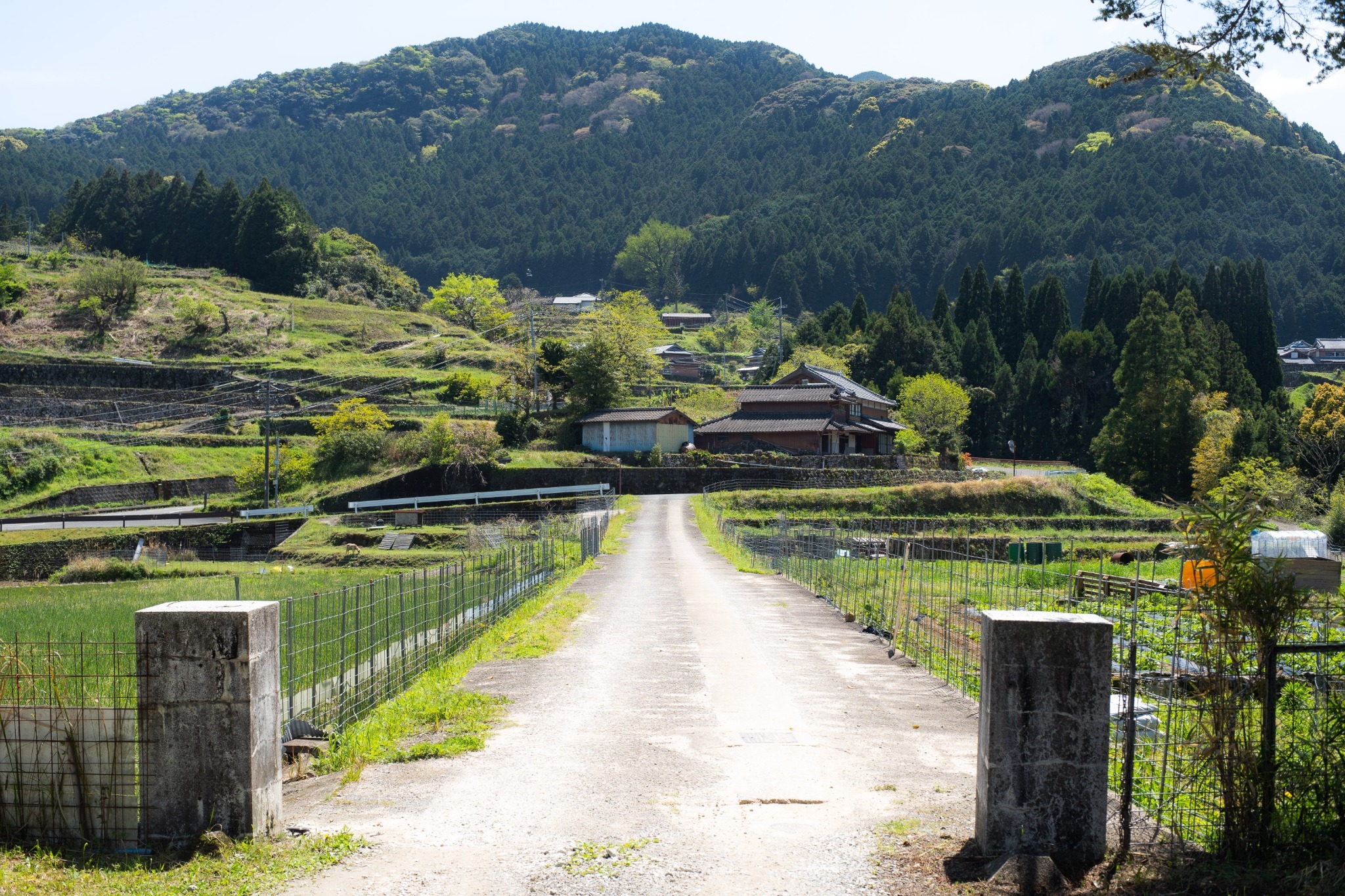 2022年5月新開・1 日2組限定・分校 Stay haruhi・農業体験ができるテントグランピング