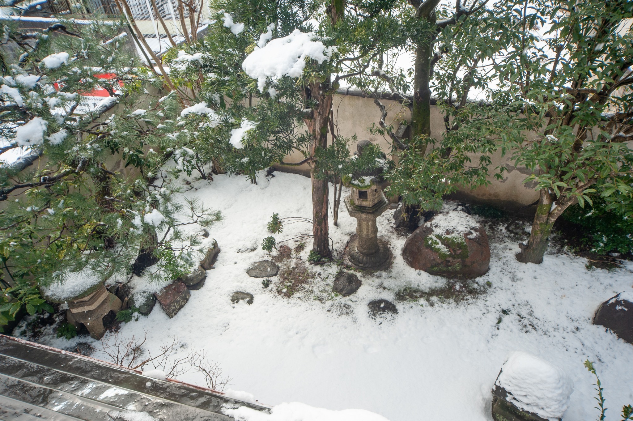 雪の坪庭