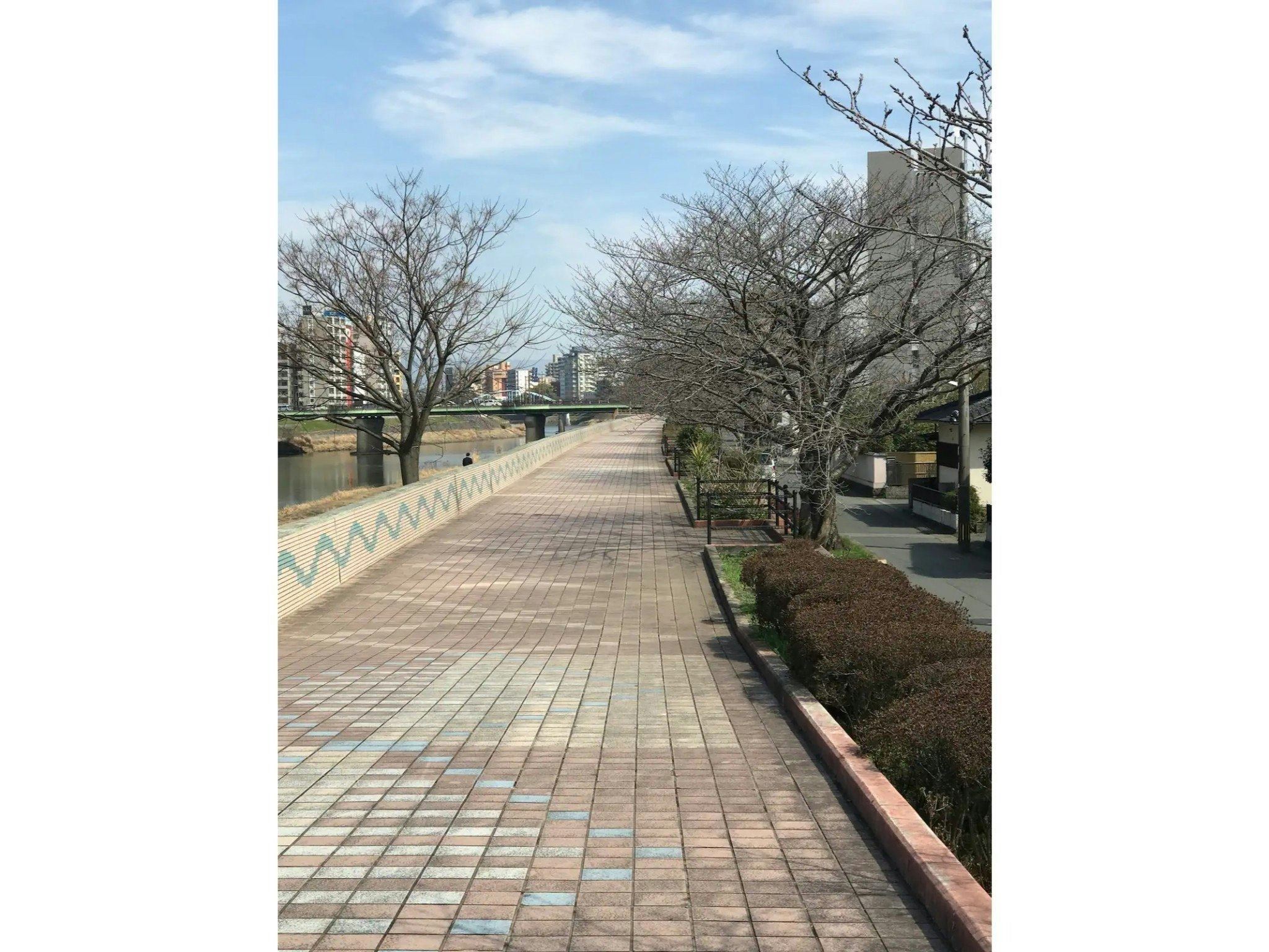 family home 一階洋室、リニューアル快適な区間熊本駅徒歩15分繁華街上下通徒歩8分交通便利