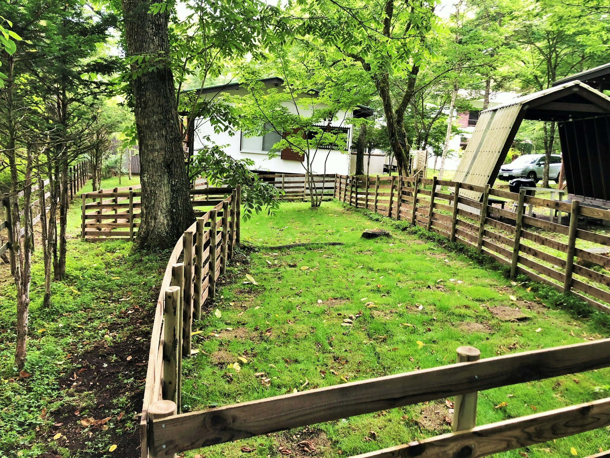 りす村別荘 with Dog 春 ★☆専用ドッグラン付き