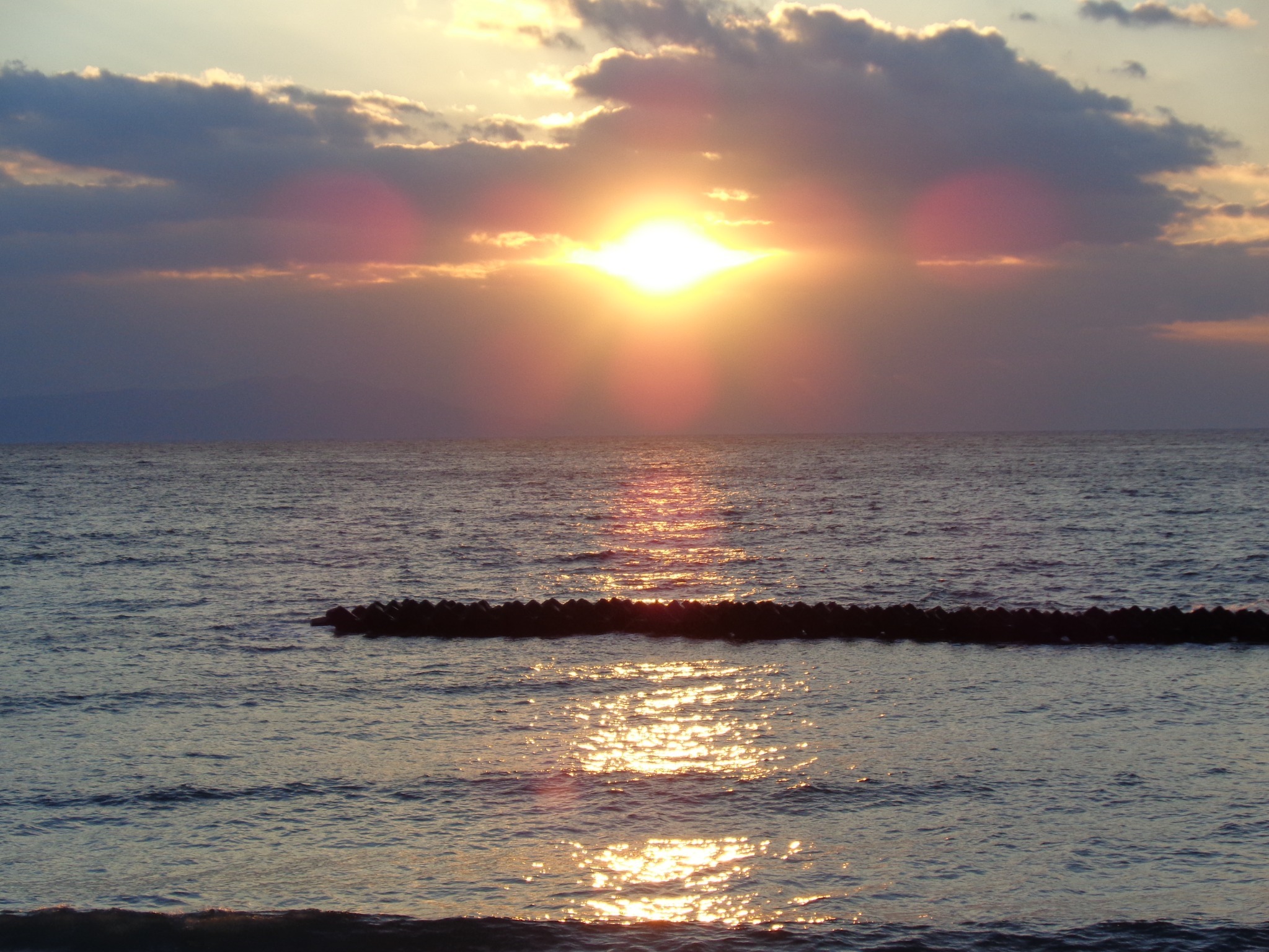 河津海岸も近く。