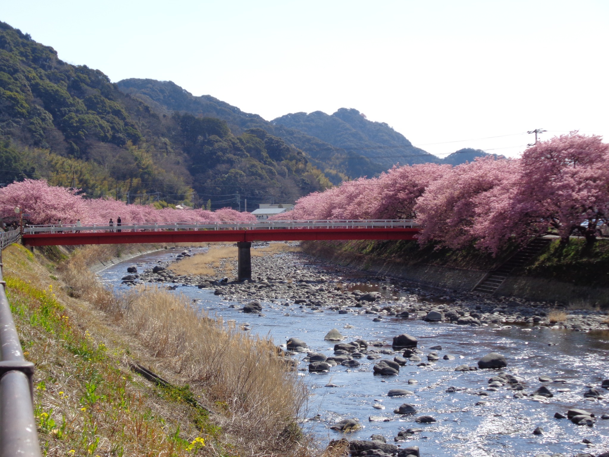 長期滞在にも。