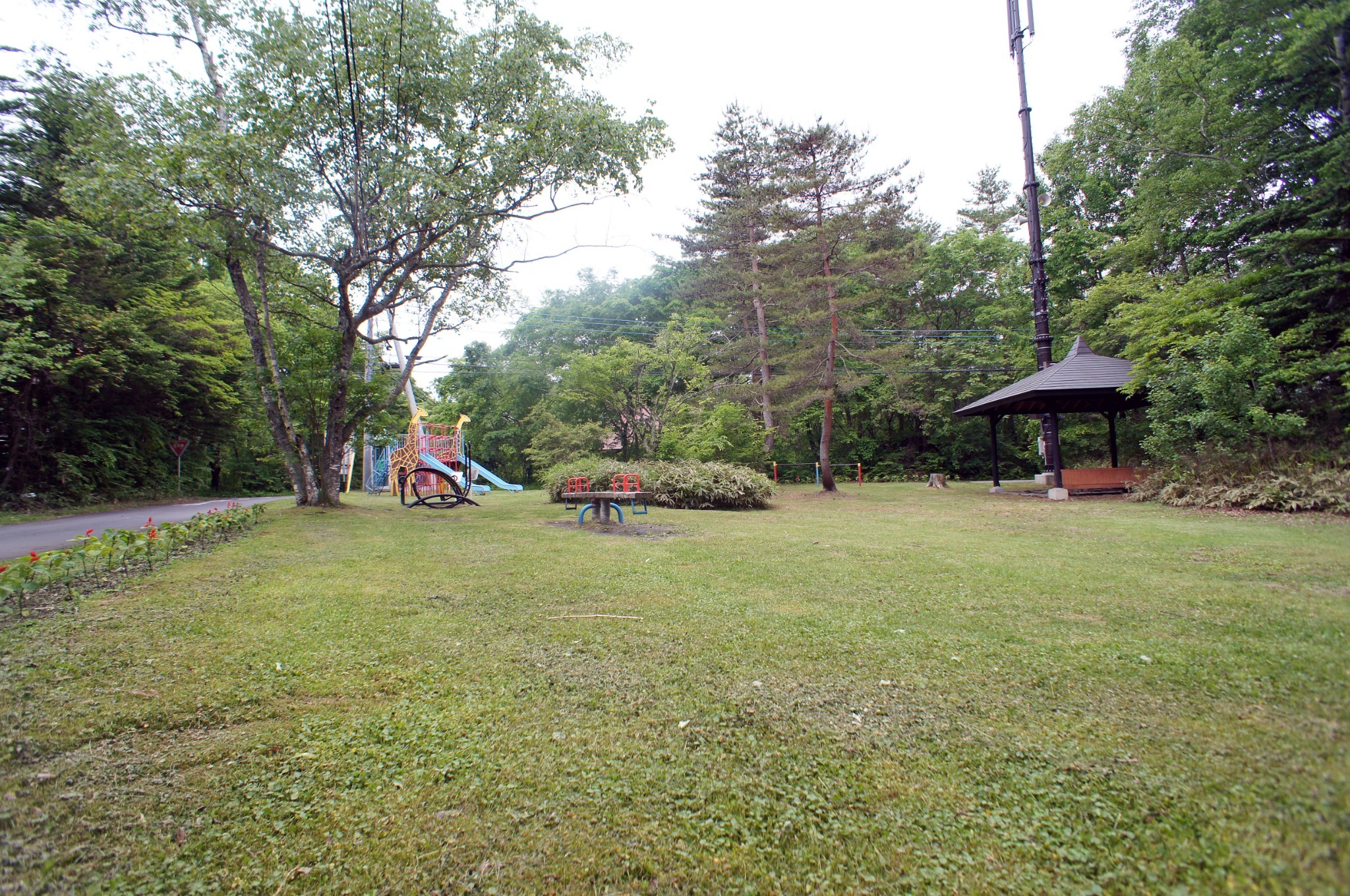 目前に広がる公園