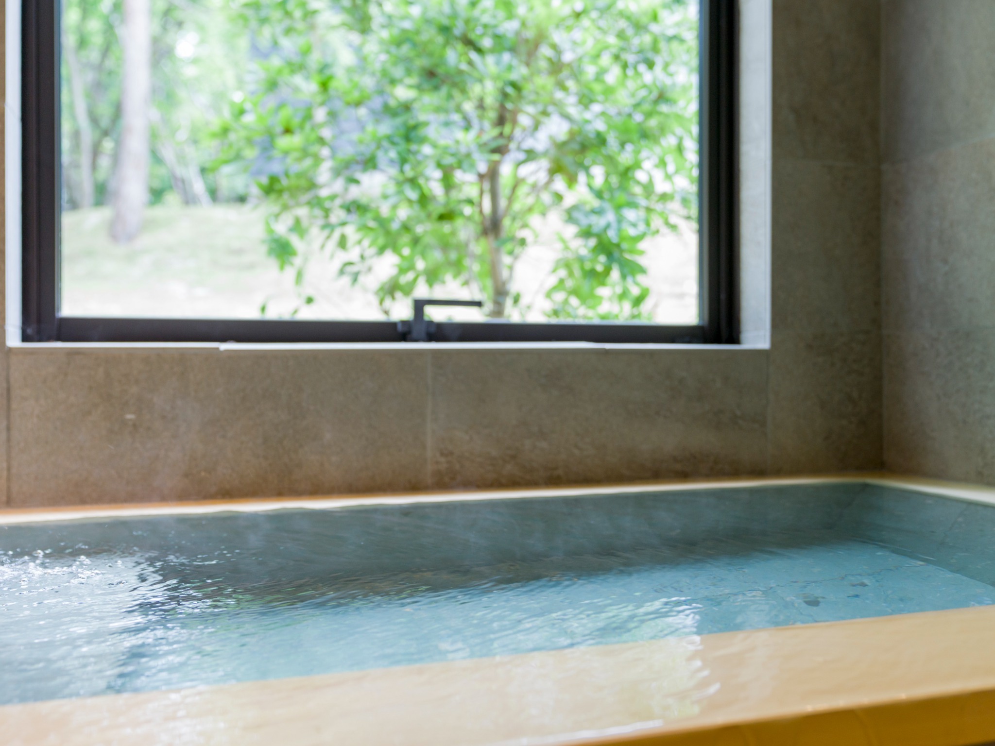 天然温泉(かけ流し可)