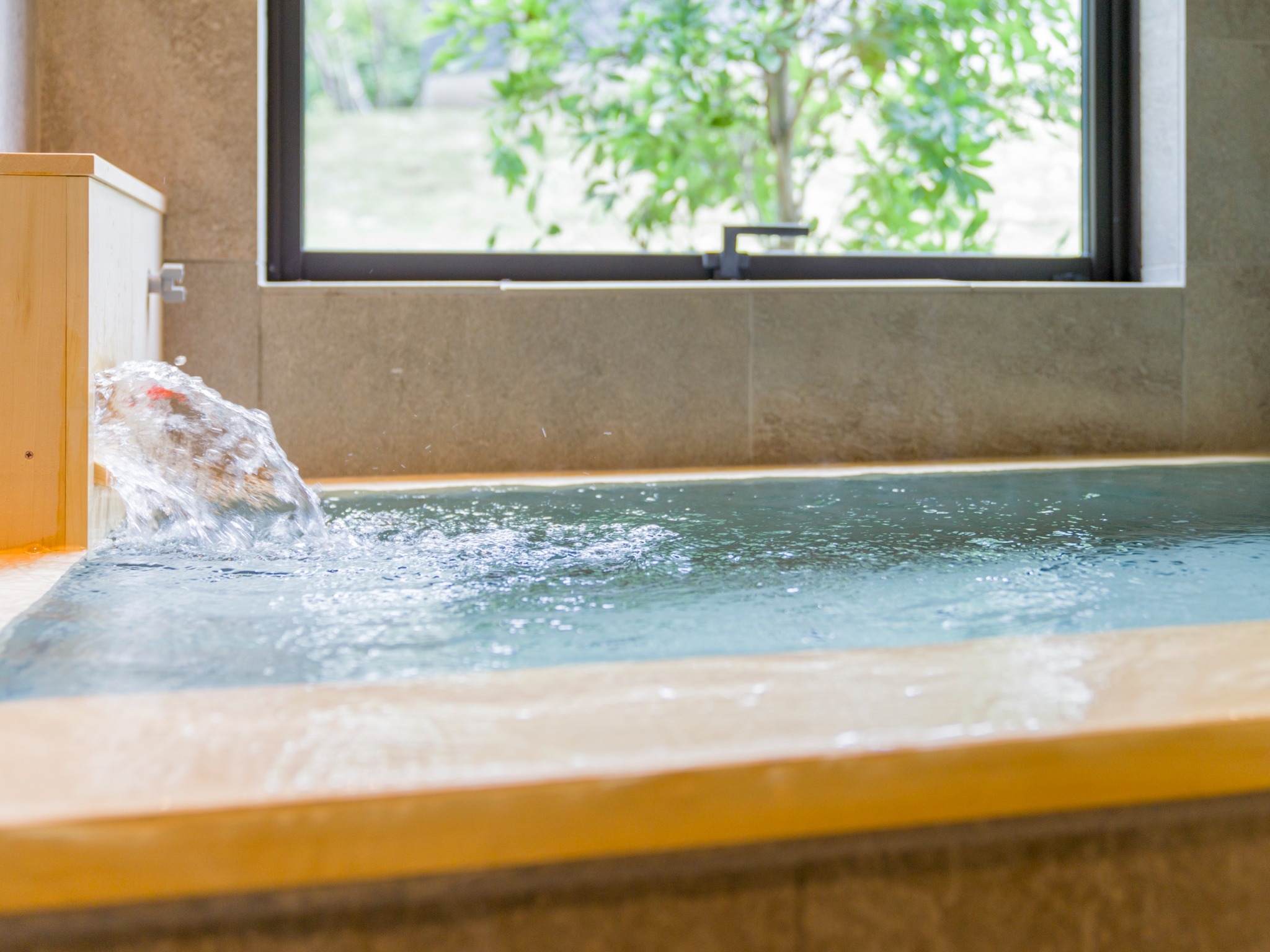 天然温泉(かけ流し可)