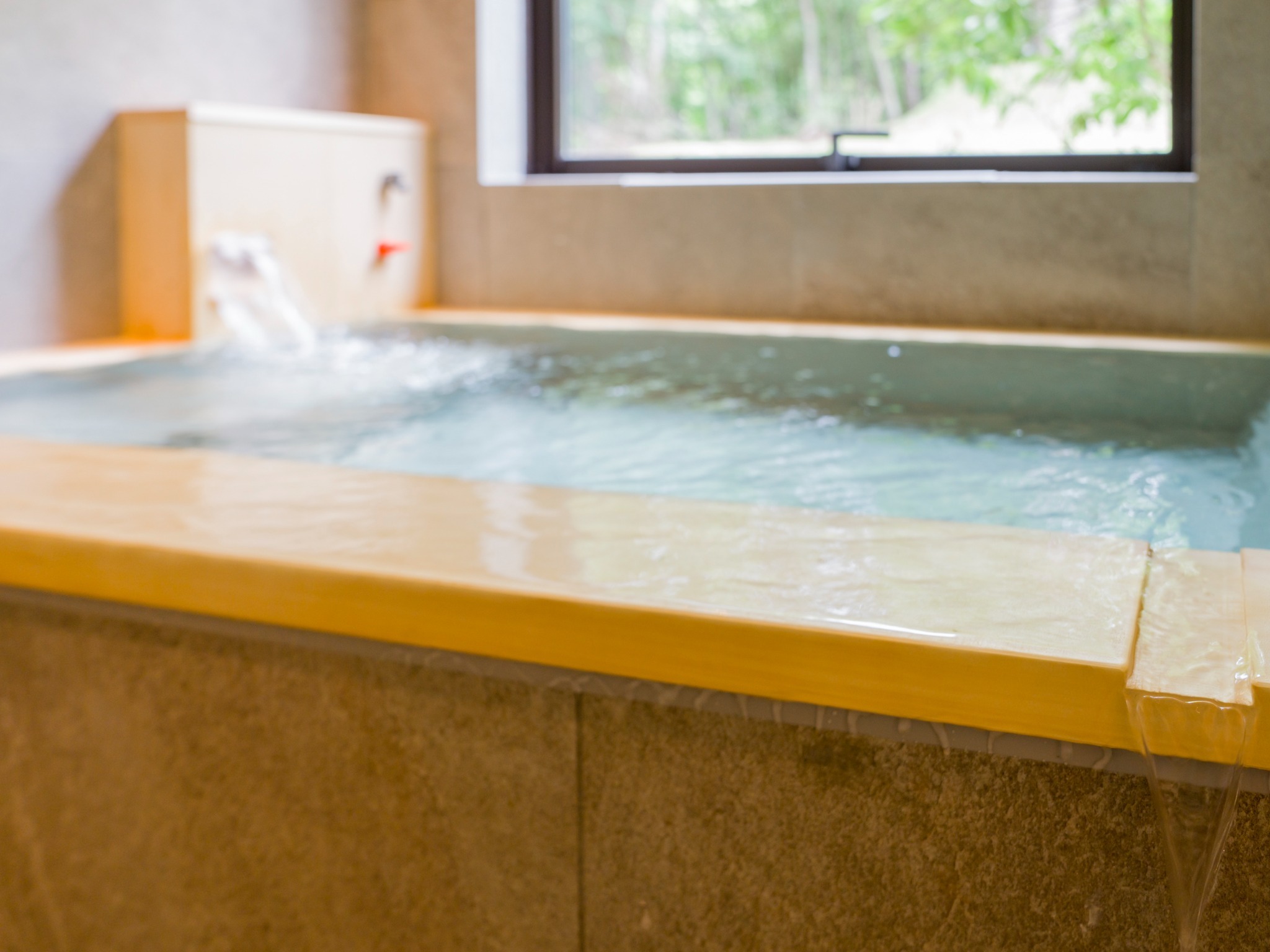 天然温泉(かけ流し可)