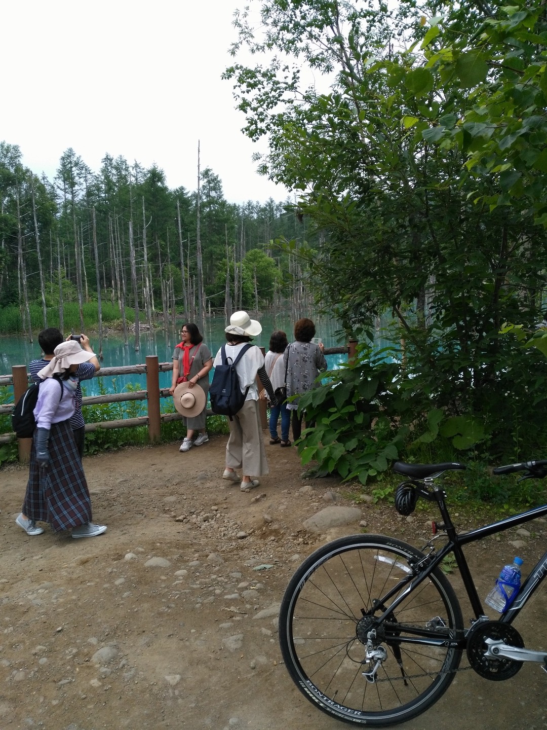 P-DASH FOREST/民泊のnull