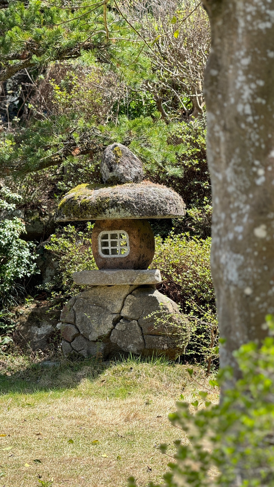 一棟貸し 山の麓の宿 峰麓舎
