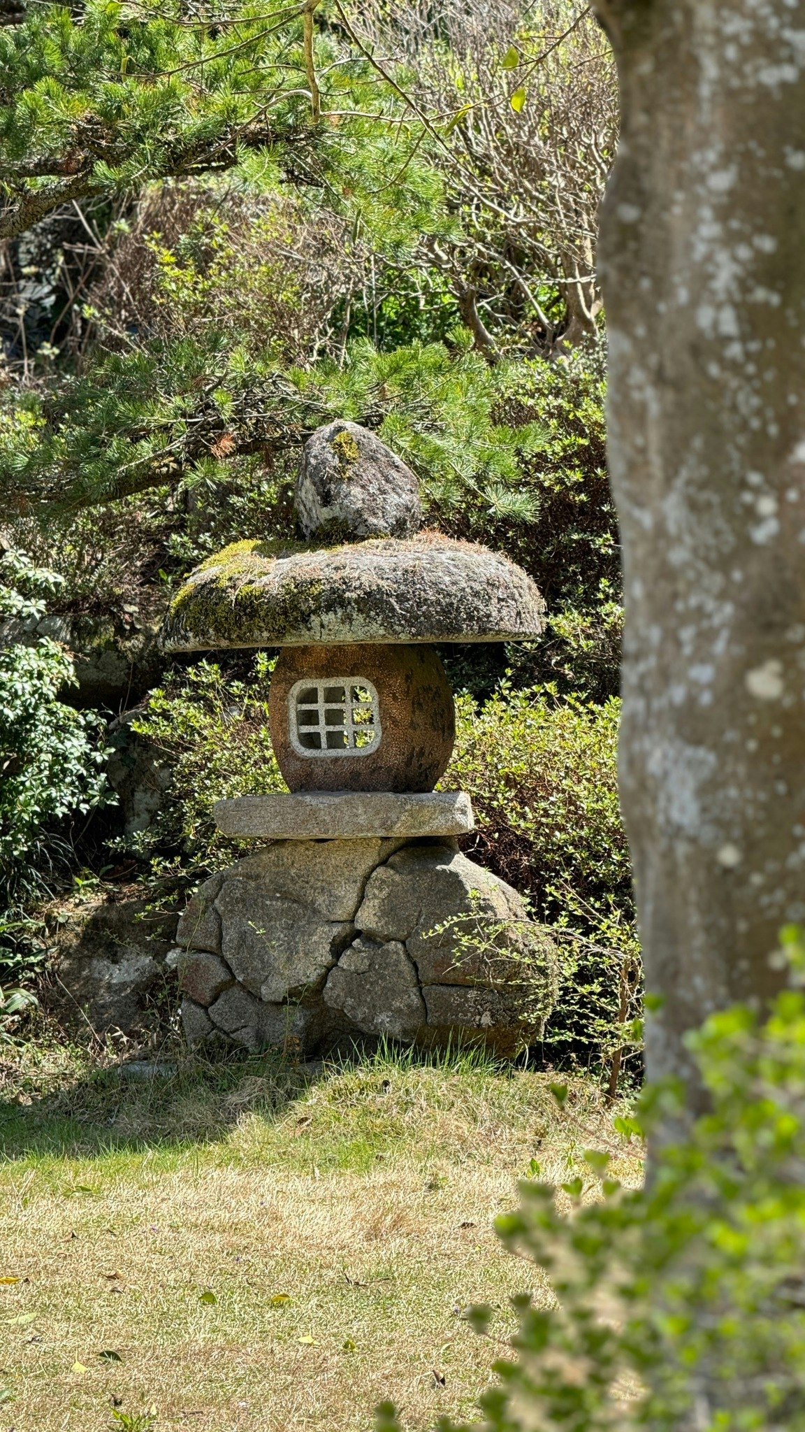 一棟貸し 山の麓の宿 峰麓舎