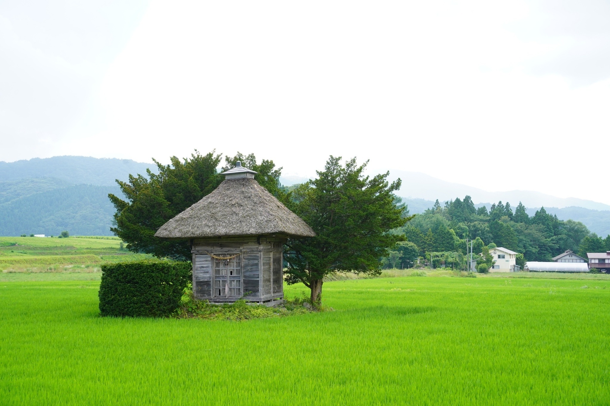 田んぼの中にある荒神神社は車で5分