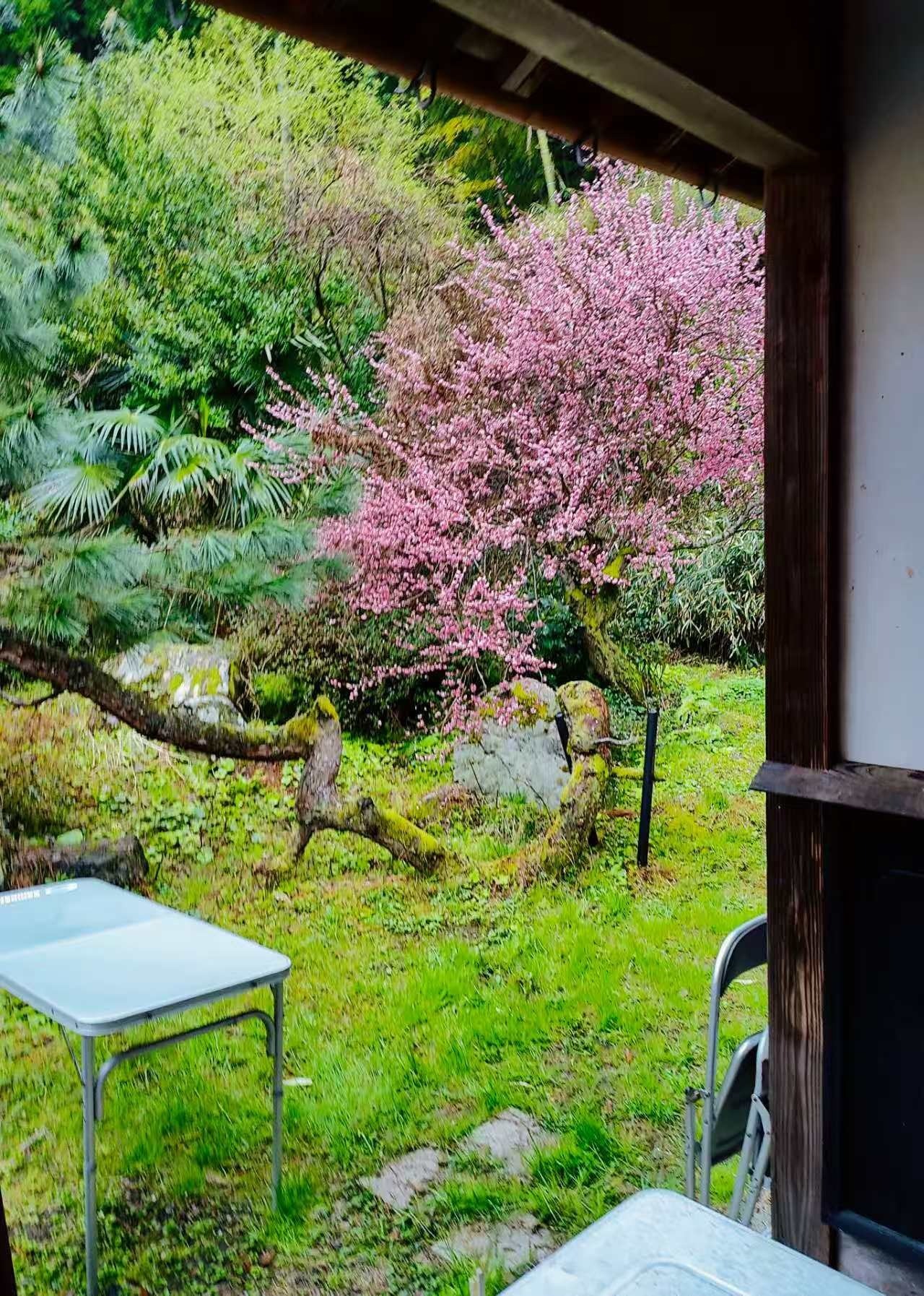 窓からの四季に癒されながらのんびりで