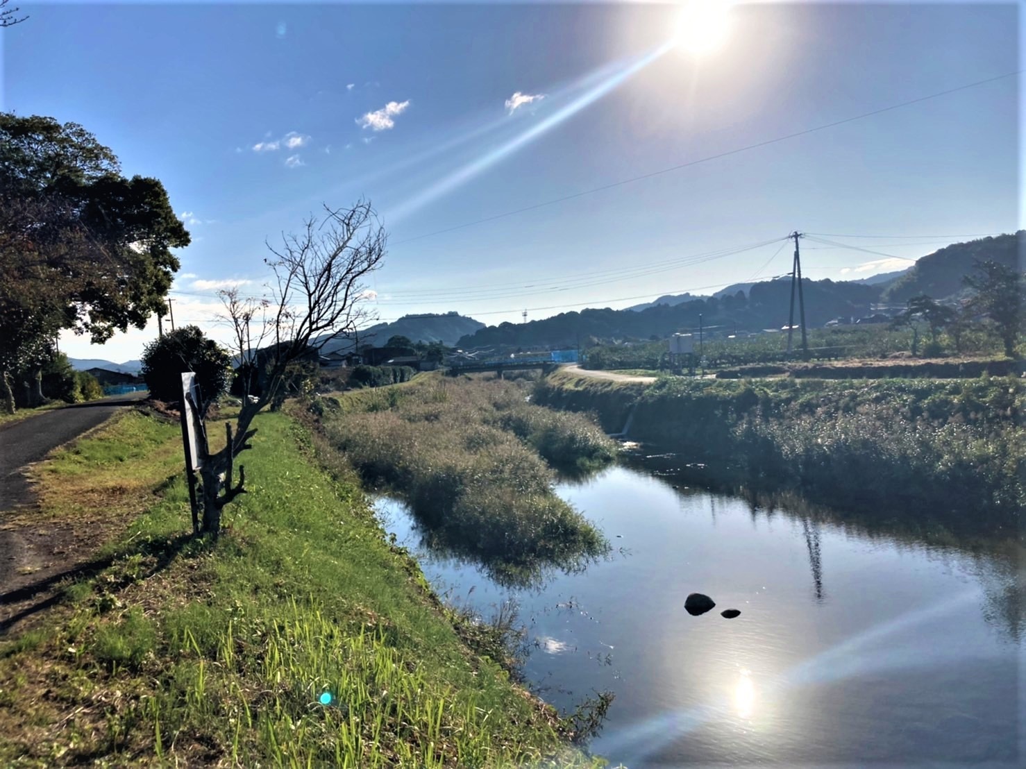周辺の農村地域に流れるきれいな川
