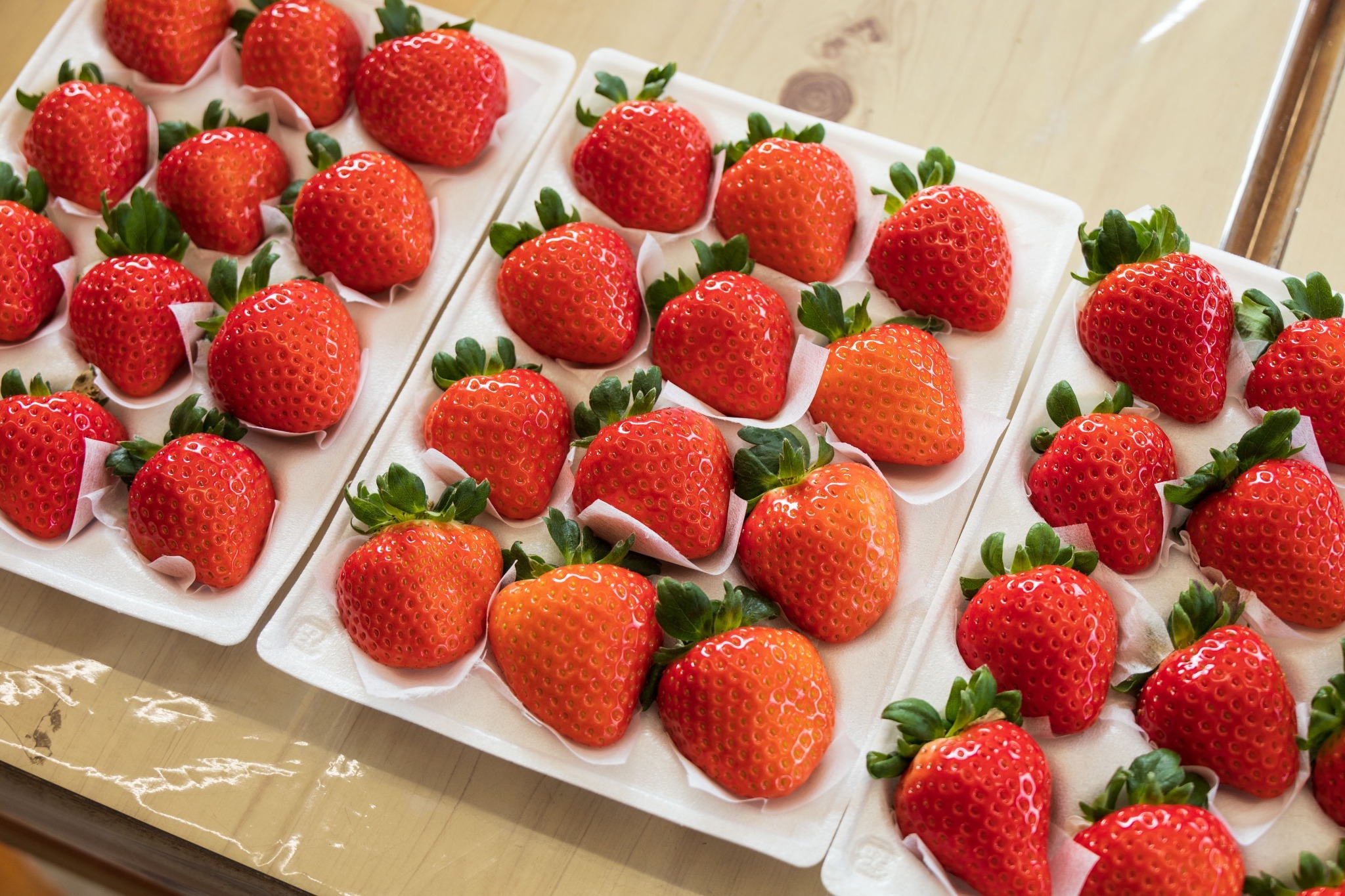 いちご狩りの採れたて並んでみました。かわいい