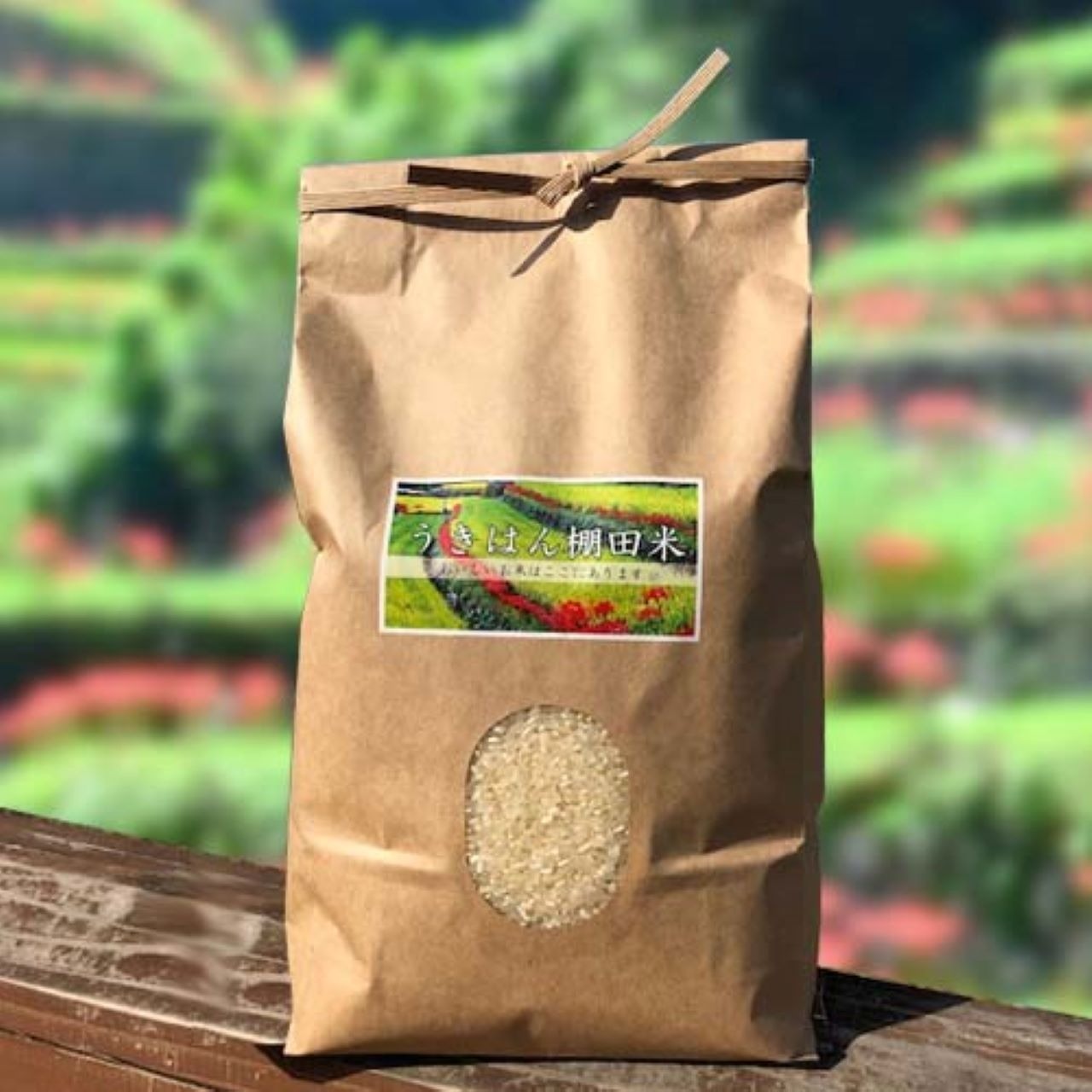 棚田米、朝食用です!