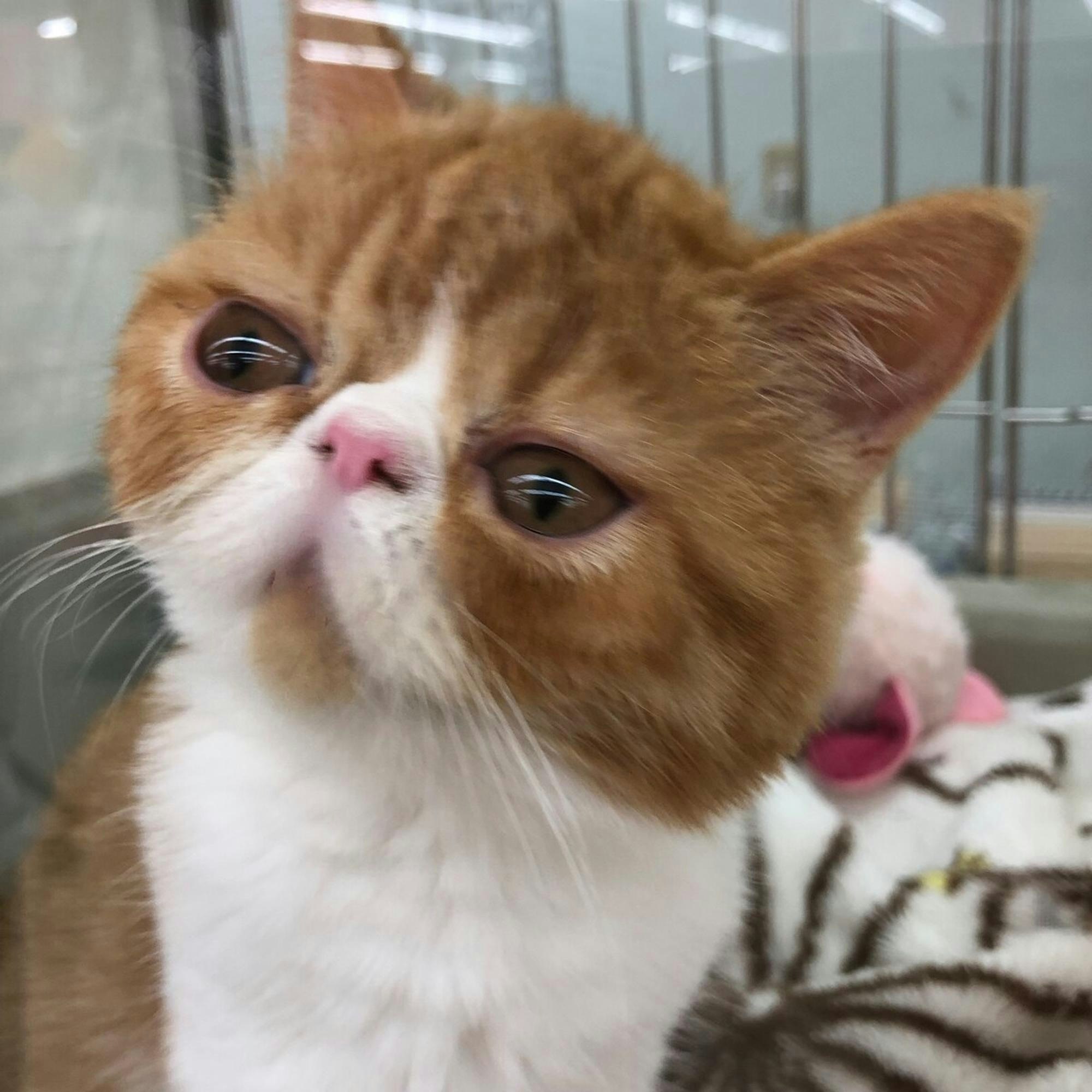 【102号室】ペット可/駐車場無料/名古屋駅10分♥/4~5名MAX/浄水器/無料WiFi