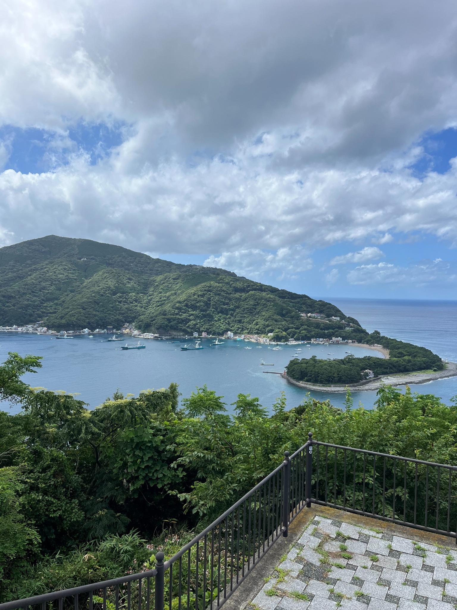 出逢い岬から見える戸田湾