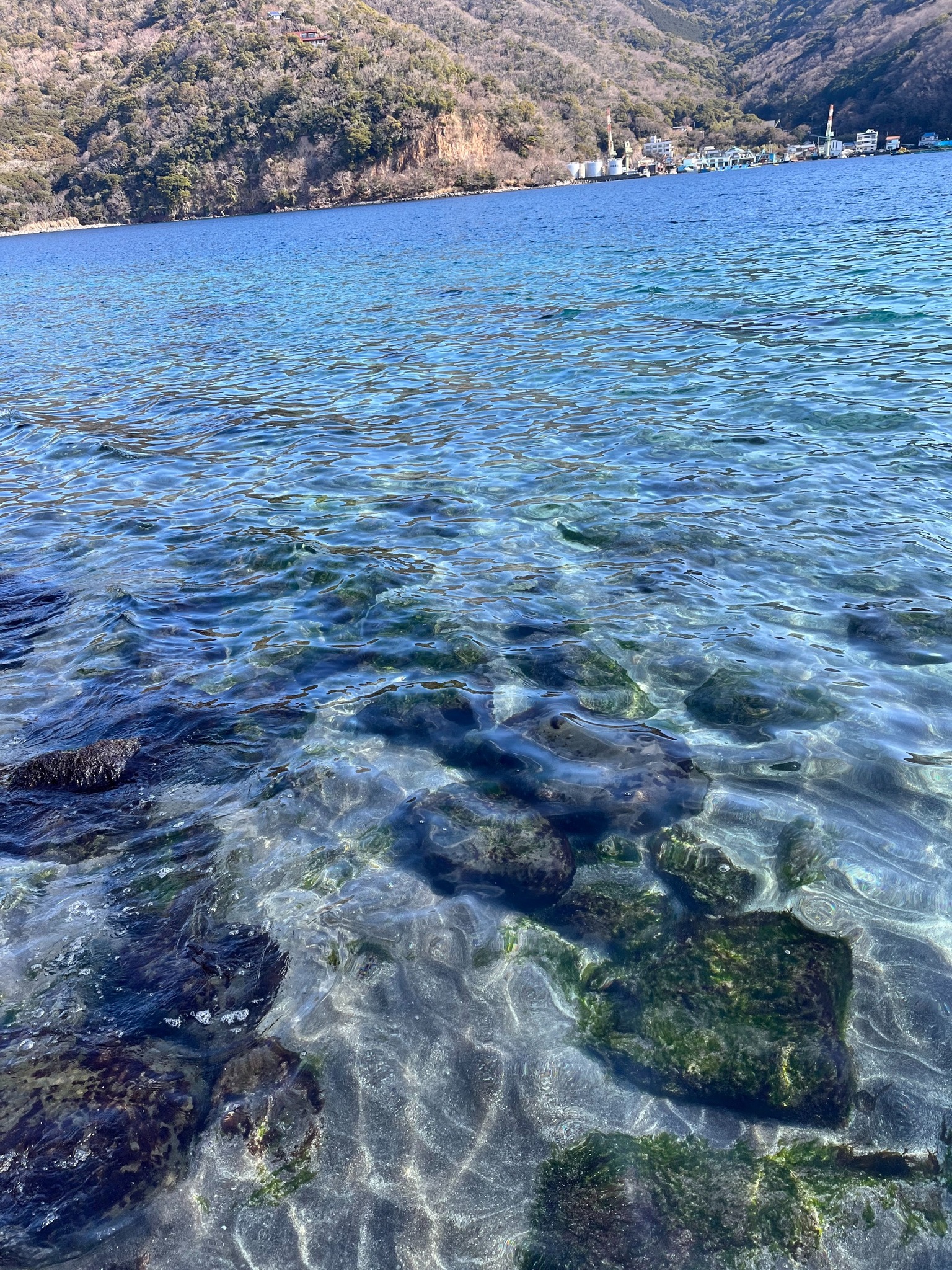 透明度の高い海