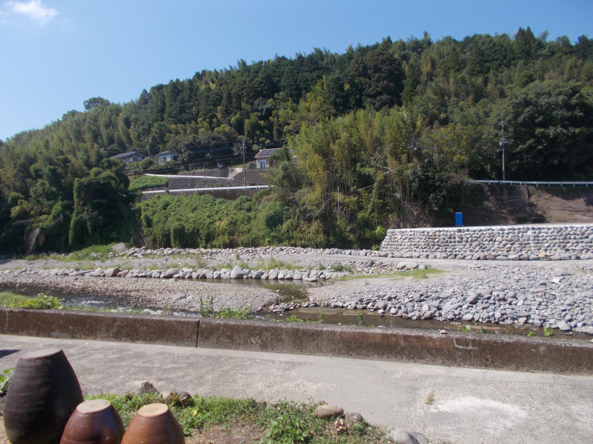 見晴らしの良い畳の部屋