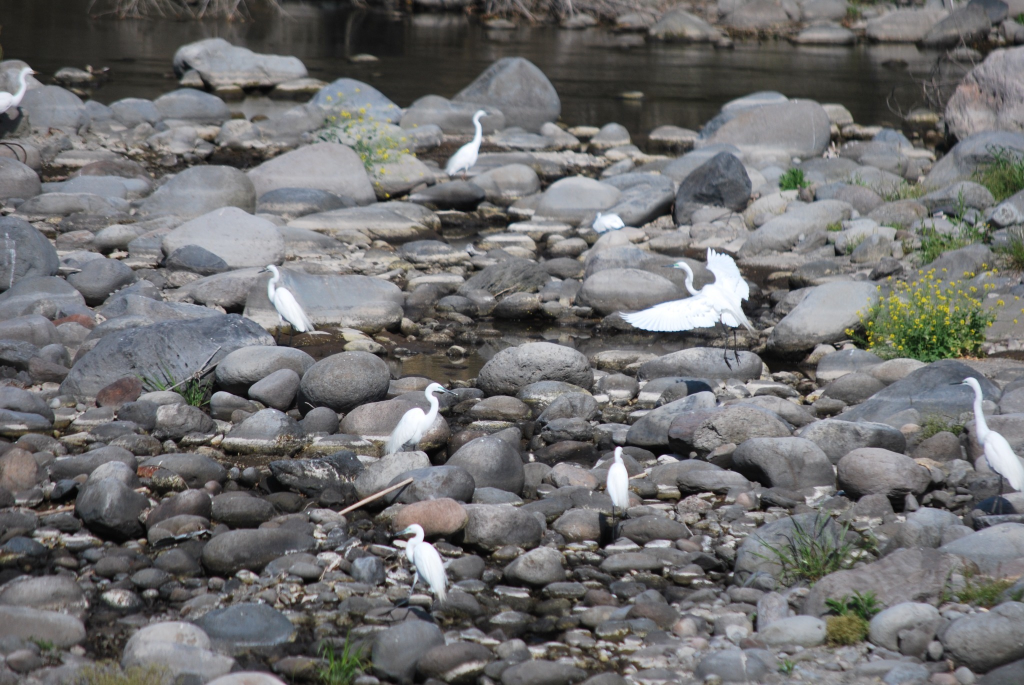 見晴らしの良い畳の部屋