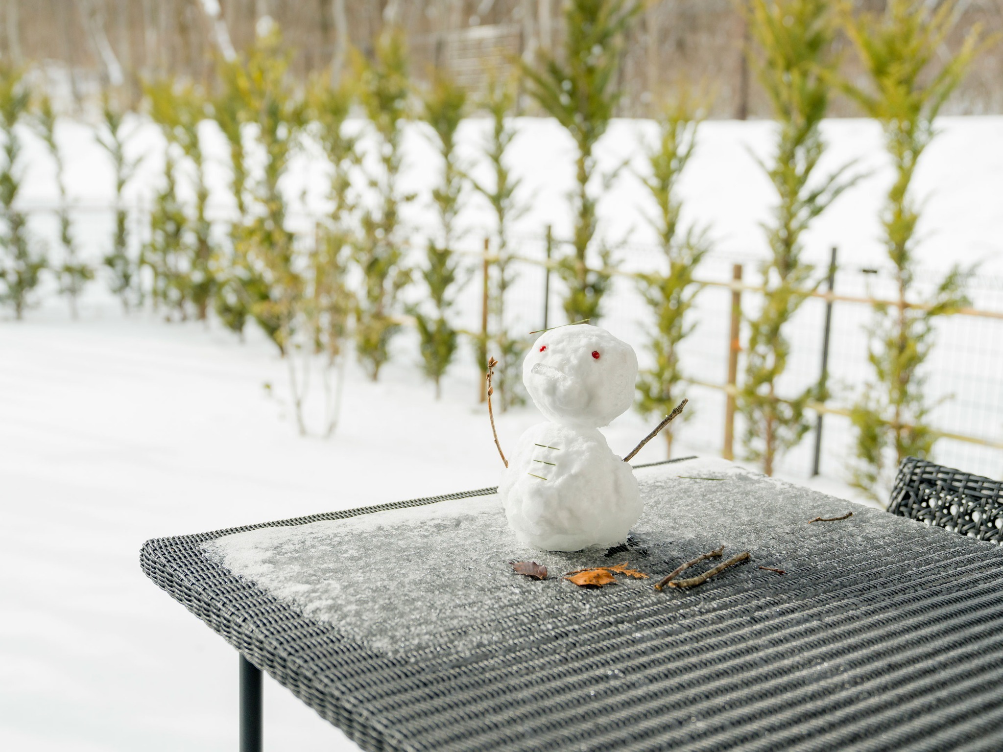 【雪の日】雪が積もった日は雪だるまを作って遊んでみては