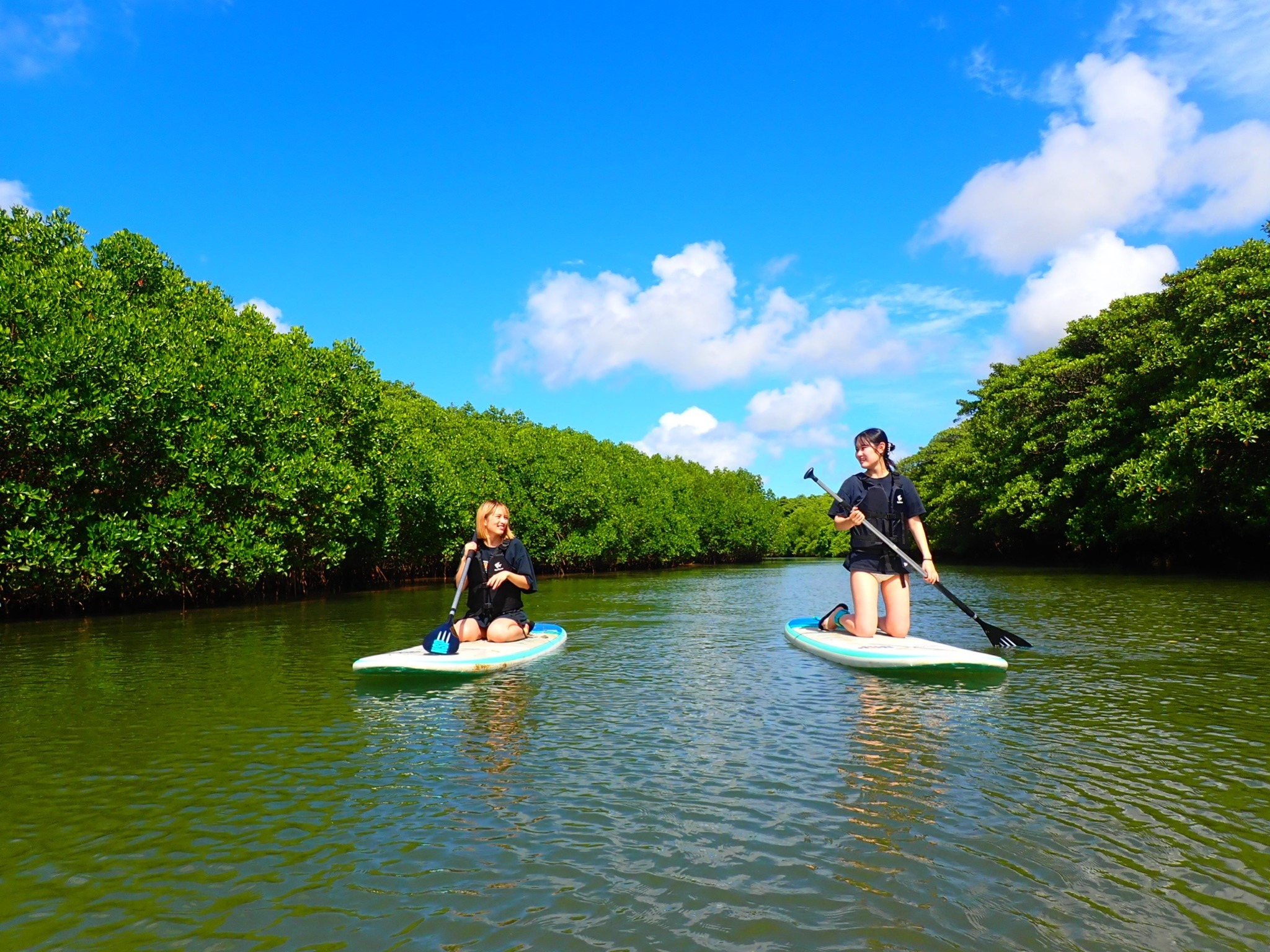 【マングローブツアー】も特別価格でご案内できます♪